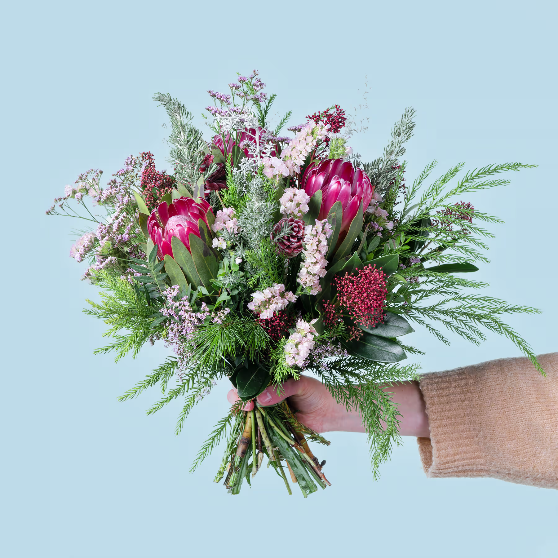 Ein leuchtender Strauß aus rosa Protea-Blüten, weißen und violetten Blüten und üppigem Grün, den eine Person vor einem hellblauen Hintergrund in den Händen hält. (Beschreibungstext KI-generiert)