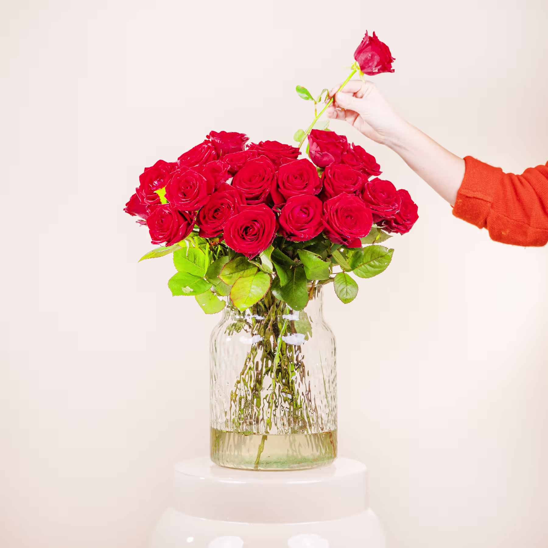 Ein Strauß leuchtend roter Rosen in einer Glasvase, gehalten von einer Hand in einer orangefarbenen Hülle vor einem schlichten weißen Hintergrund. (Beschreibungstext KI-generiert)