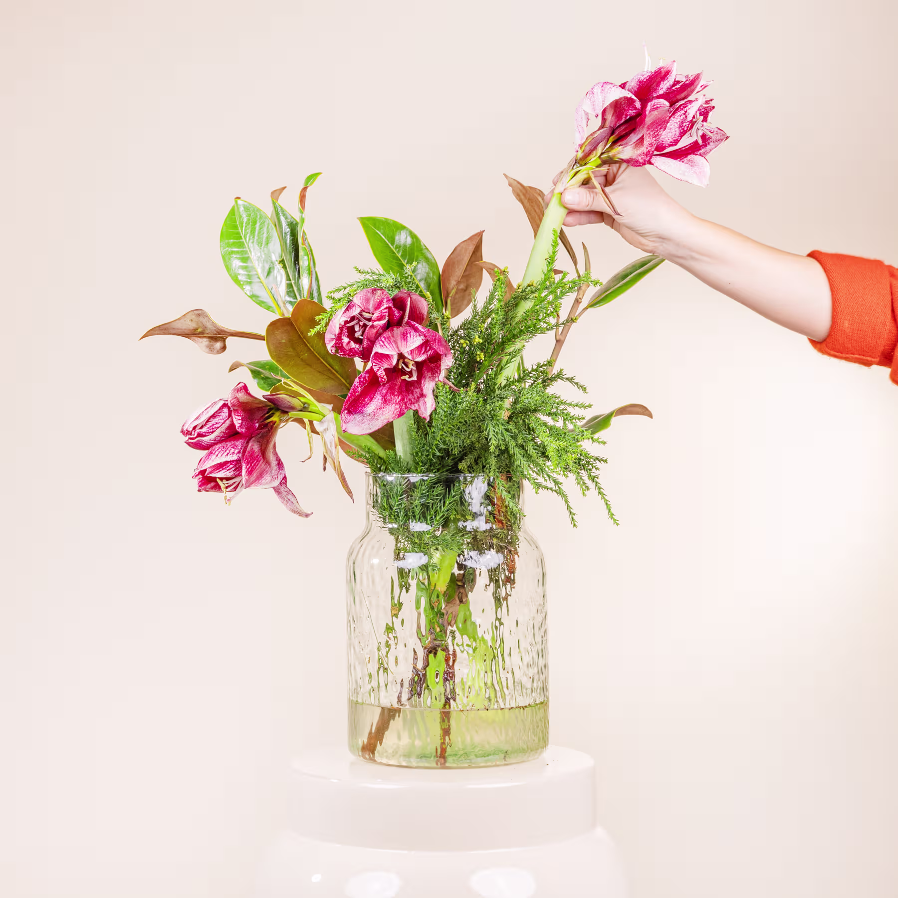 Ein farbenfroher Strauß rosa Nelken und üppiges Grün wird in einer Glasvase vor einem schlichten, hellen Hintergrund präsentiert. (Beschreibungstext KI-generiert)