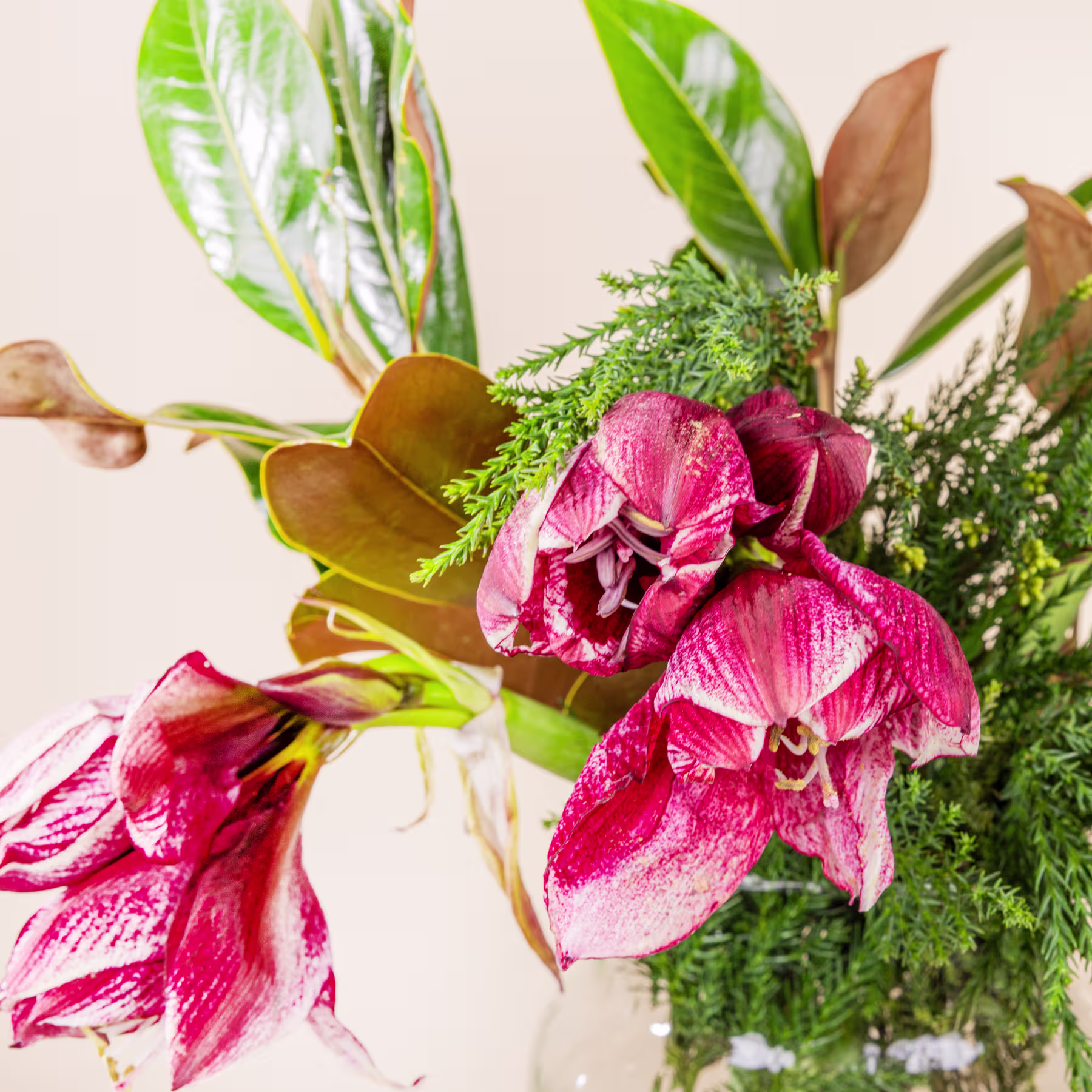 Ein lebendiger Strauß aus rosa Orchideen, grünen Blättern und anderem üppigen Laub vor einem neutralen Hintergrund. (Beschreibungstext KI-generiert)
