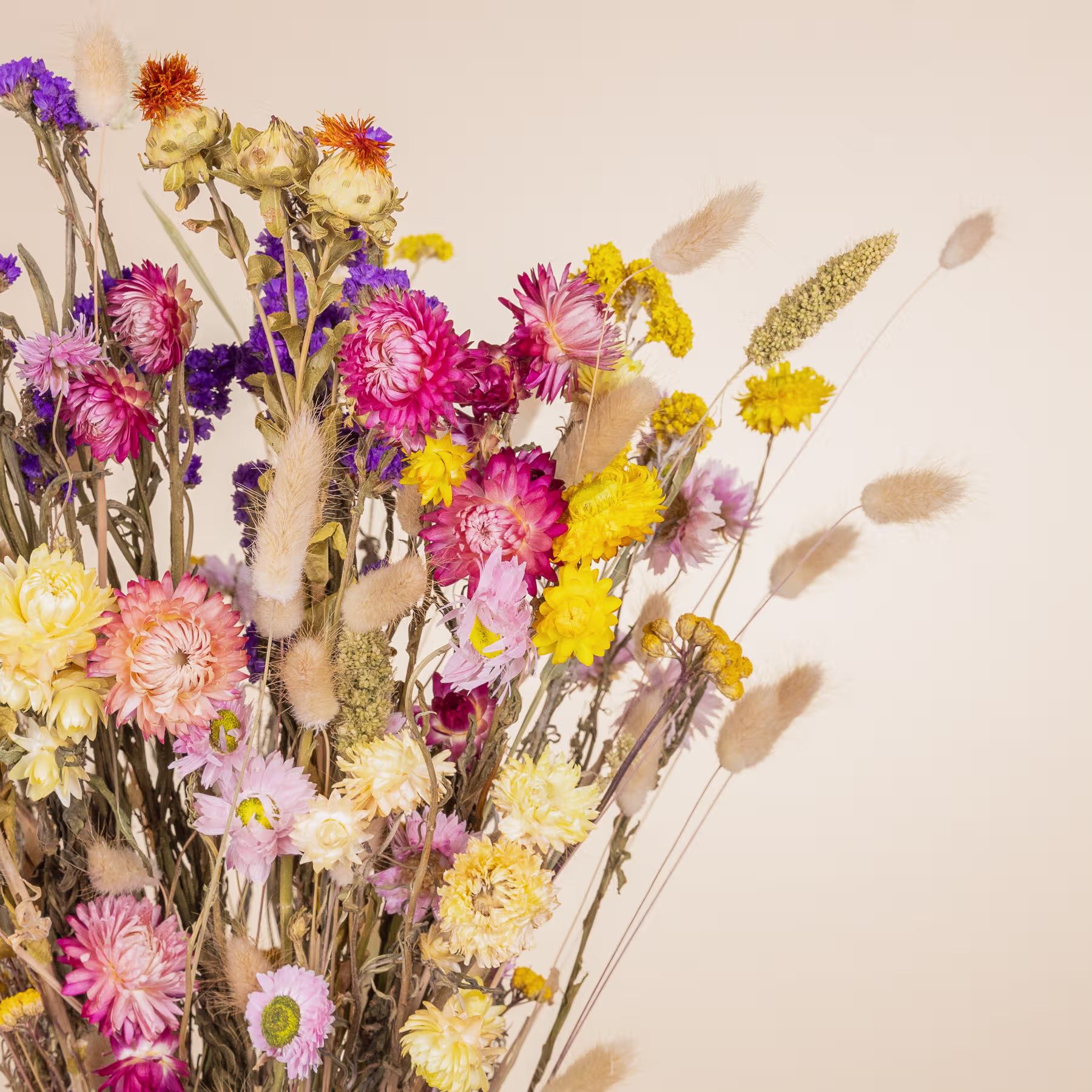 Ein lebendiger Strauß bunter Wildblumen, darunter rosa, gelbe und violette Blüten, füllt den Rahmen vor einem neutralen beigen Hintergrund. (Beschreibungstext KI-generiert)