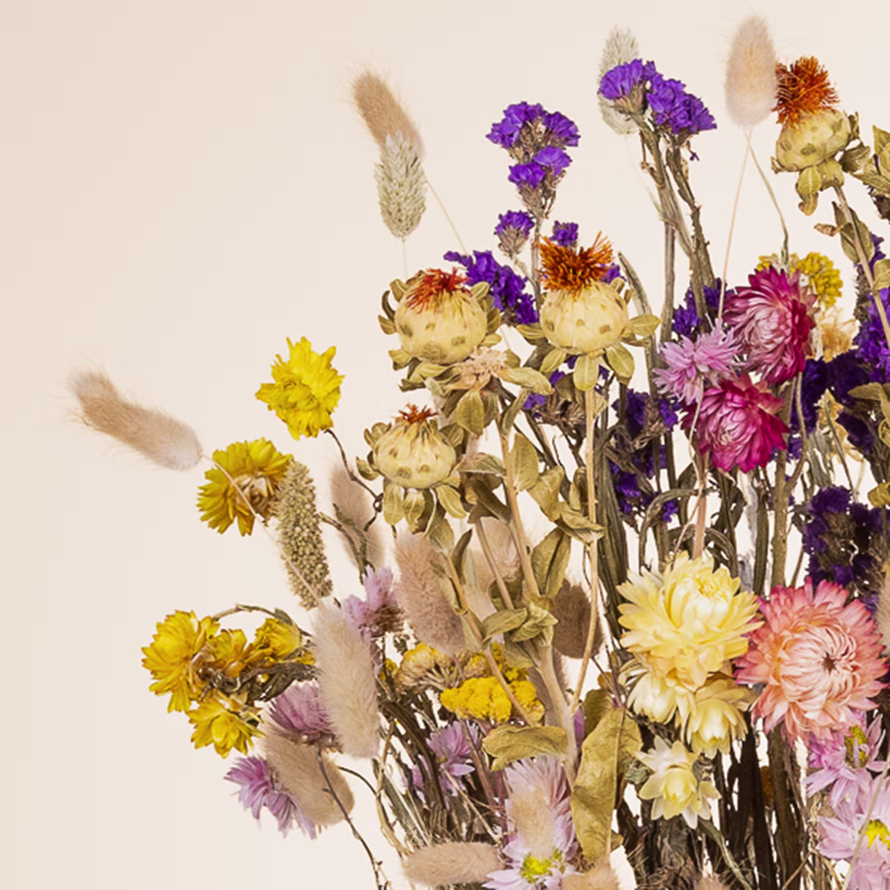 Ein lebendiger Strauß getrockneter und frischer Blumen, darunter gelbe, violette und rosa Blüten, vor einem neutralen beigen Hintergrund. (Beschreibungstext KI-generiert)