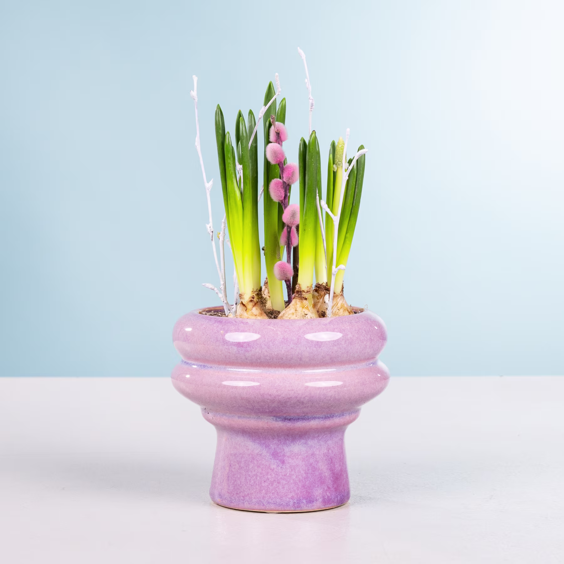 Ein rosafarbener Keramiktopf gefüllt mit Frühlingszwiebelsprossen und rosafarbenen Blumen steht auf einer weißen Fläche vor einem hellblauen Hintergrund. (Beschreibungstext KI-generiert)