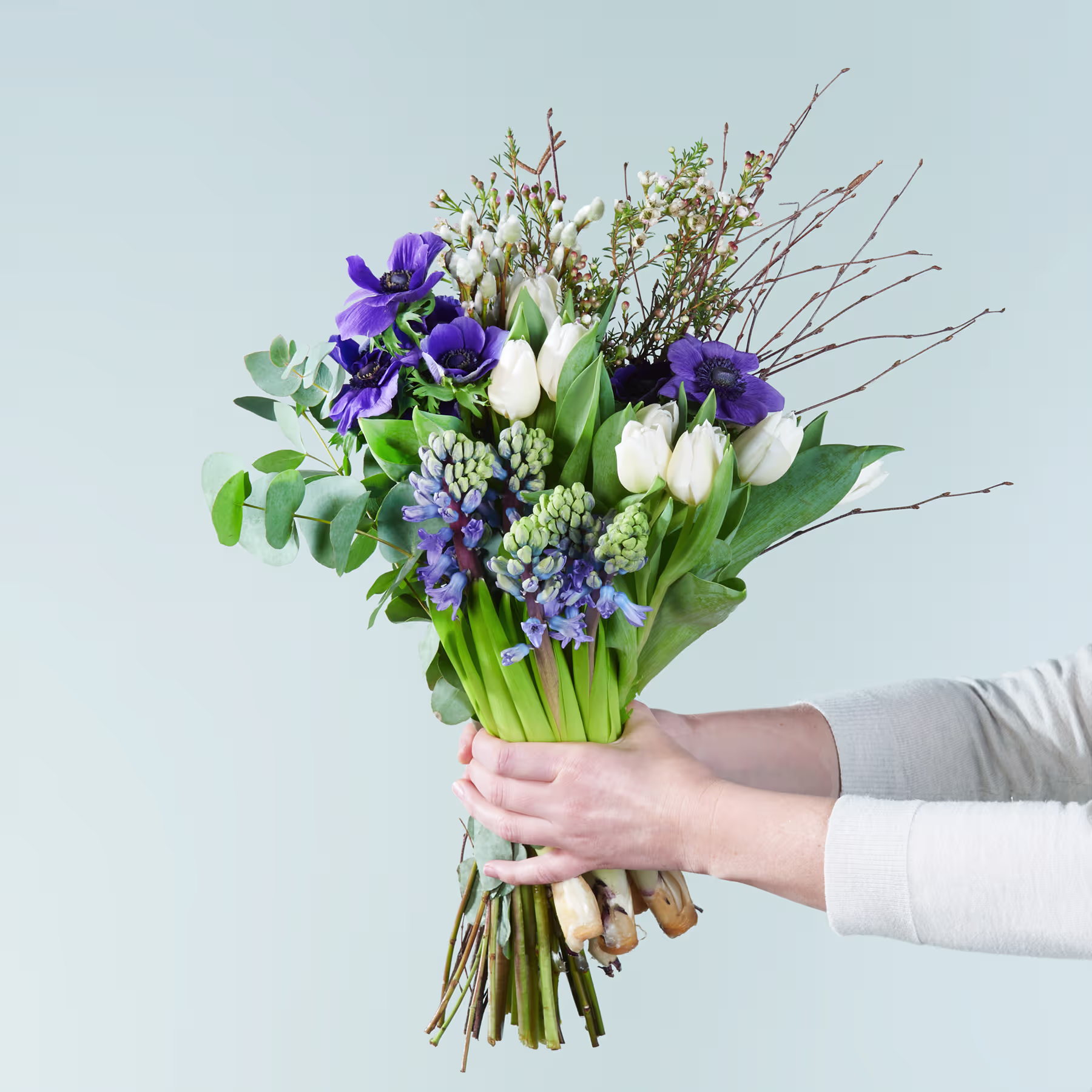 Vor einem hellblauen Hintergrund hält eine Person einen Strauß leuchtend violetter Schwertlilien, weißer Tulpen und anderer Frühlingsblumen in den Händen. (Beschreibungstext KI-generiert)