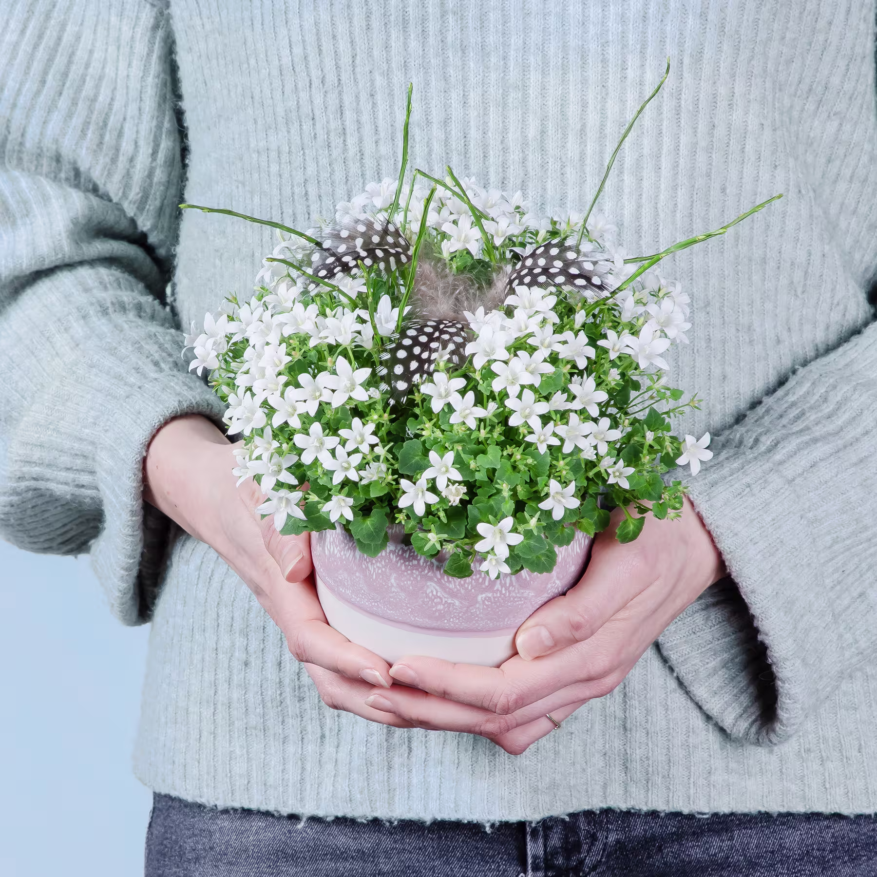 Die Hände einer Person halten eine kleine Topfpflanze mit zarten weißen Blüten vor einem grauen Hintergrund. (Beschreibungstext KI-generiert)