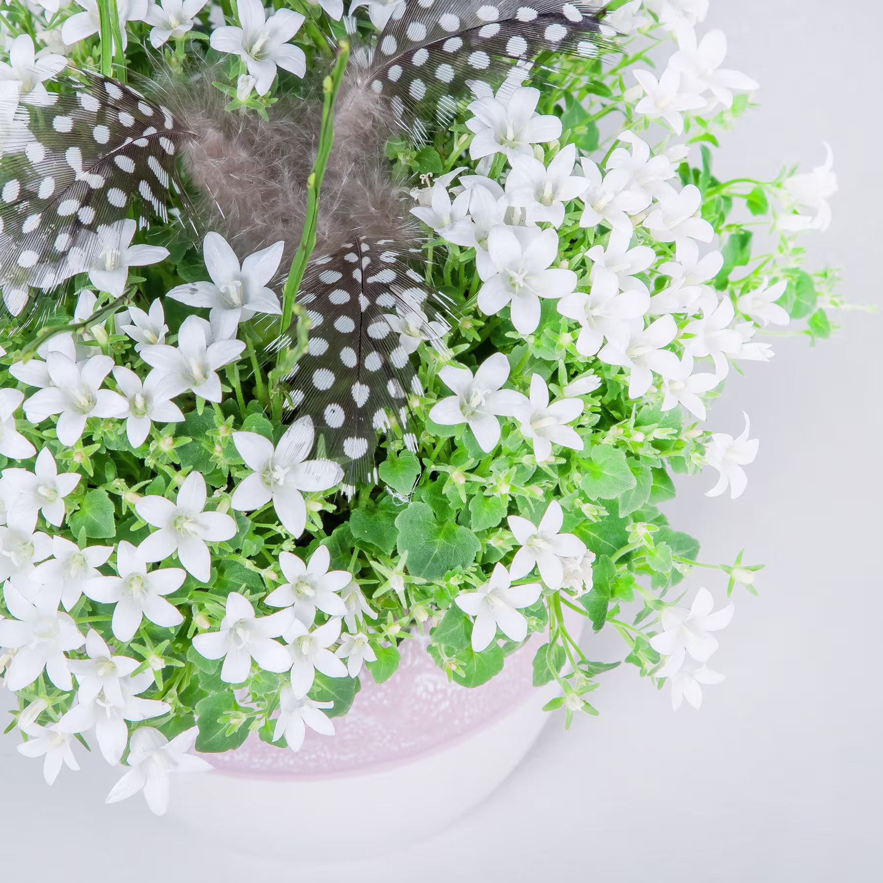 Ein Strauß zarter weißer Blüten mit grünen Blättern und Stielen, arrangiert in einer Vase vor einem hellen Hintergrund mit Tupfenmuster. (Beschreibungstext KI-generiert)