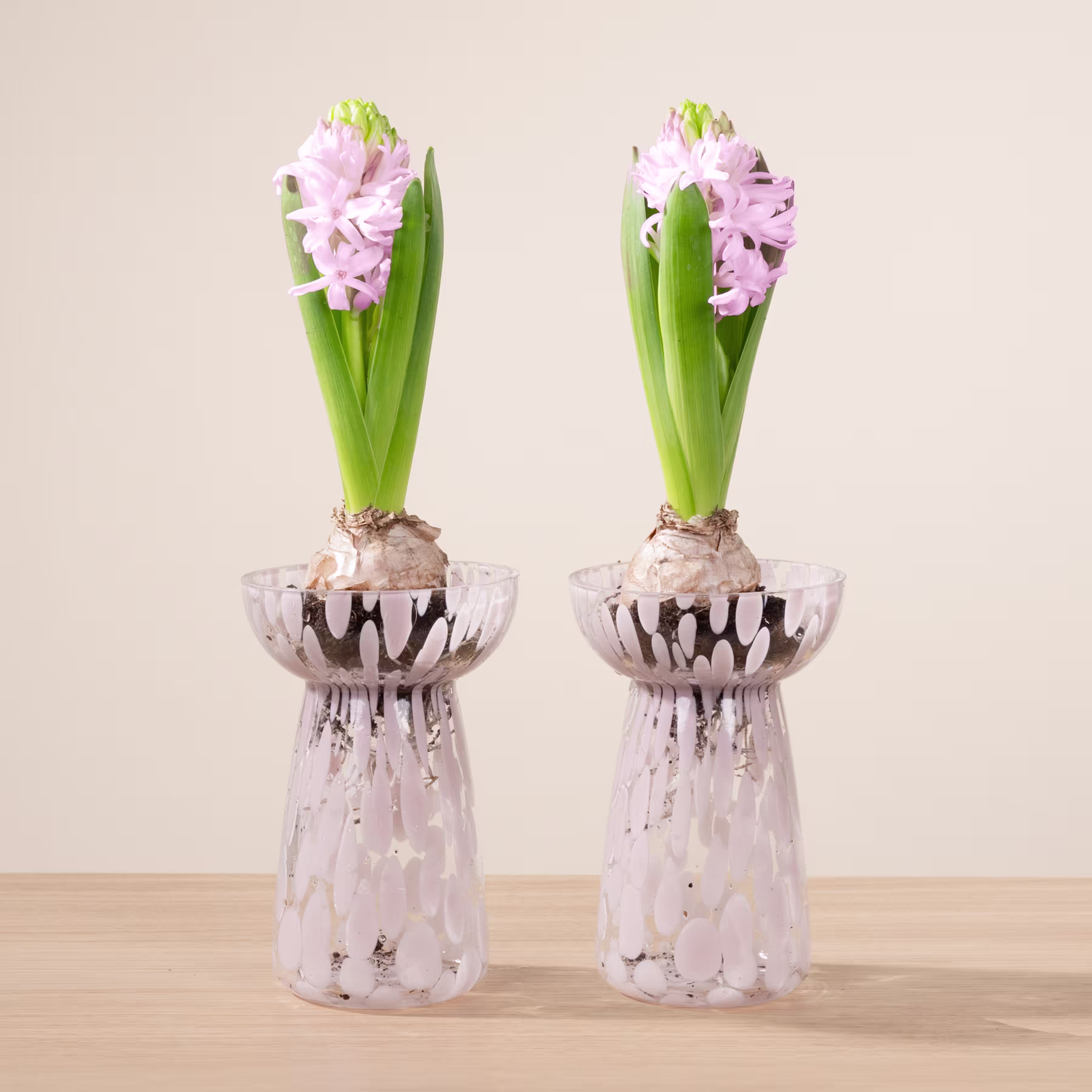 Zwei rosa Hyazinthenblüten in Glasvasen stehen auf einem Holztisch vor einem schlichten beigen Hintergrund. (Beschreibungstext KI-generiert)