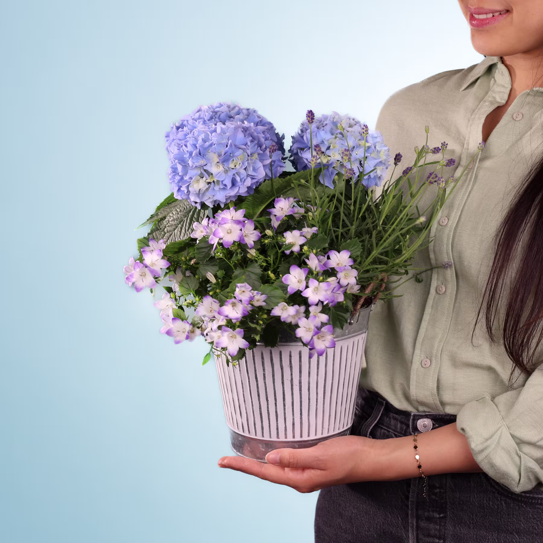 Eine Person hält ein Topfarrangement aus leuchtend violetten Hortensien und rosa Blumen vor einem schlichten blauen Hintergrund. (Beschreibungstext KI-generiert)