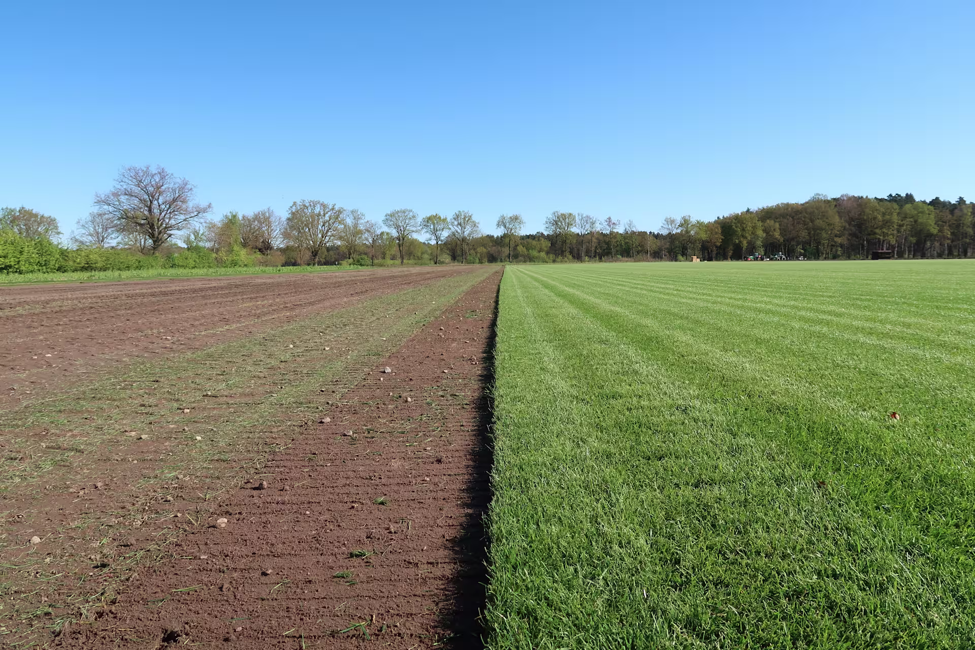 Ein weites, offenes Feld mit frisch gepflügter Erde auf der linken Seite und saftigem, grünem Gras auf der rechten Seite, umgeben von Bäumen und einem klaren, blauen Himmel. (Beschreibungstext KI-generiert)