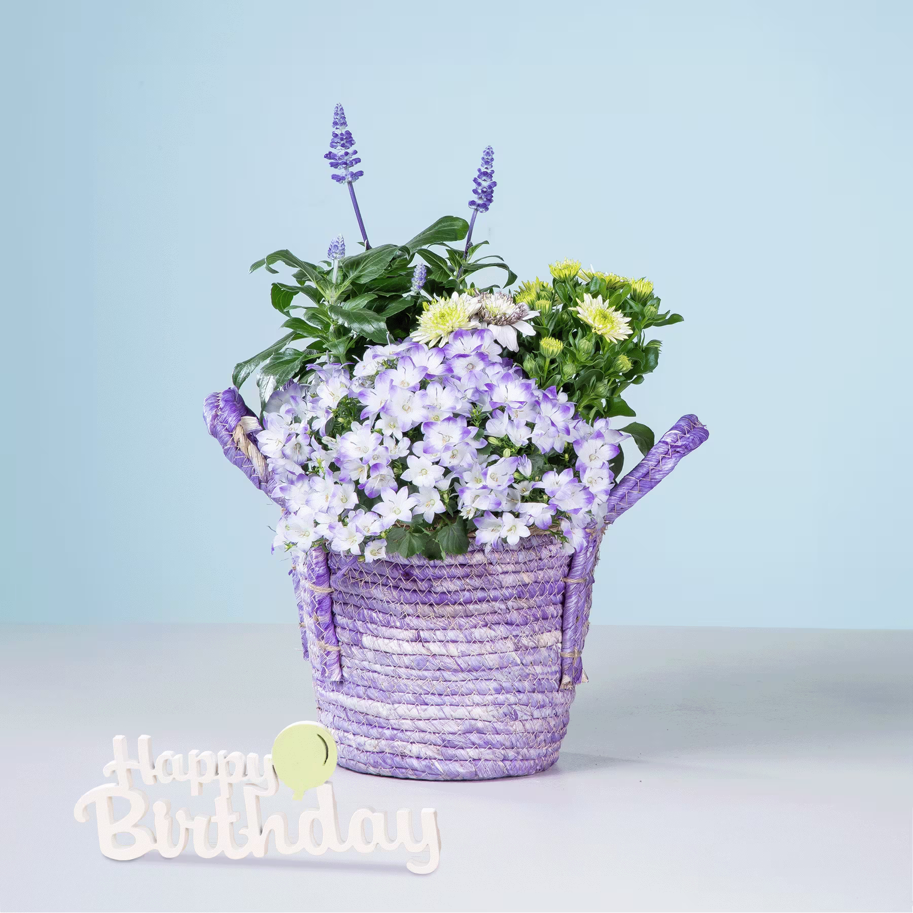 Ein leuchtender Strauß violetter und gelber Blumen in einem geflochtenen violetten Korb, mit einem „Happy Birthday“-Schild im Vordergrund, vor einem hellblauen Hintergrund. (Beschreibungstext KI-generiert)
