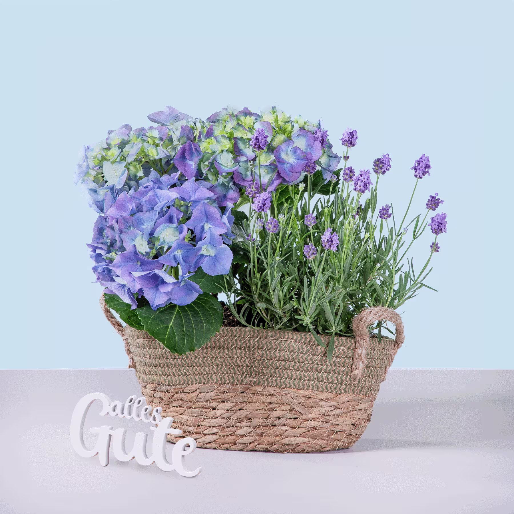 Ein geflochtener Korb gefüllt mit leuchtend violetten Hortensien und Lavendelblüten steht auf einer hellen Oberfläche vor einem blassblauen Hintergrund. (Beschreibungstext KI-generiert)