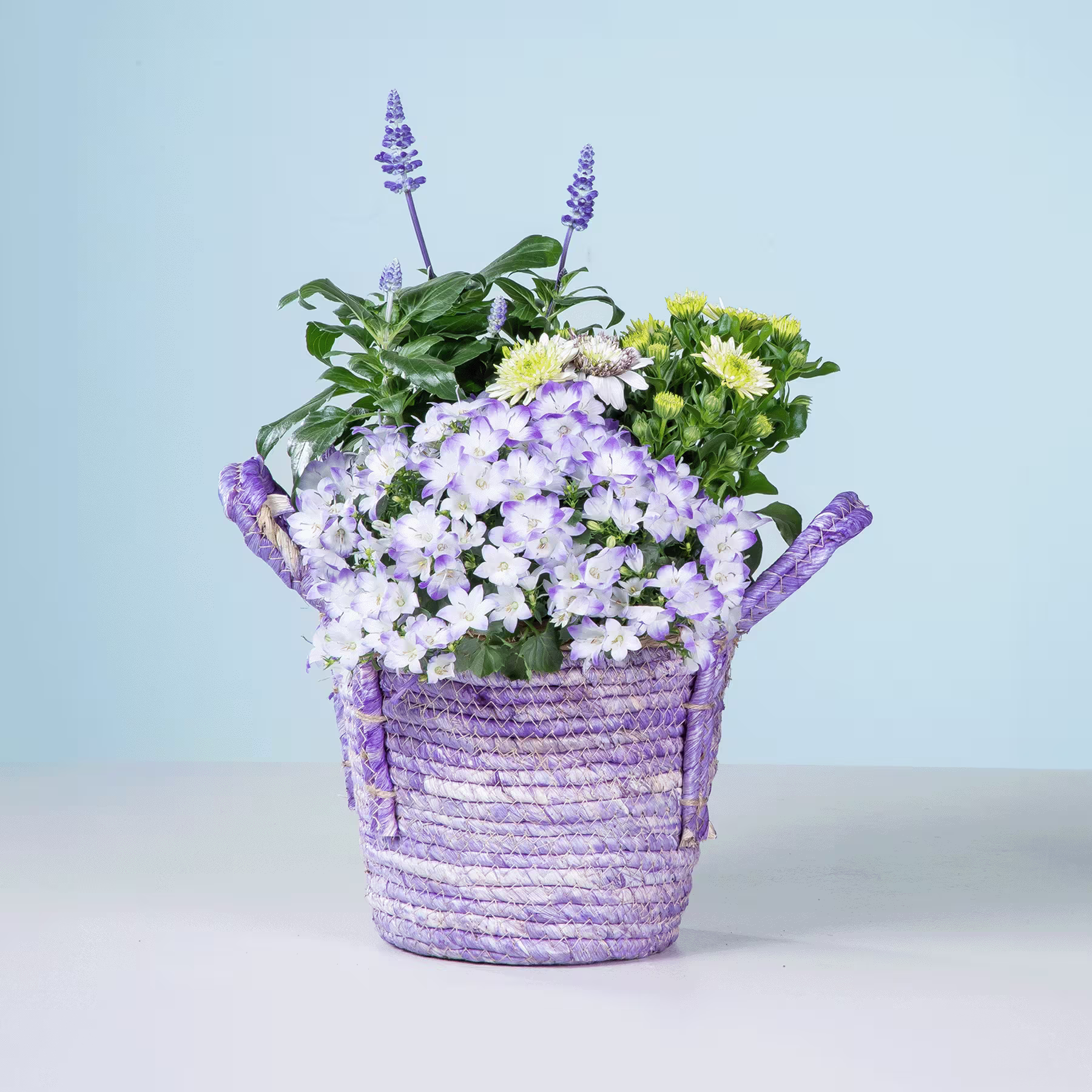 Ein geflochtener Korb, gefüllt mit einem farbenfrohen Arrangement aus violetten und weißen Blumen vor einem schlichten blauen Hintergrund. (Beschreibungstext KI-generiert)