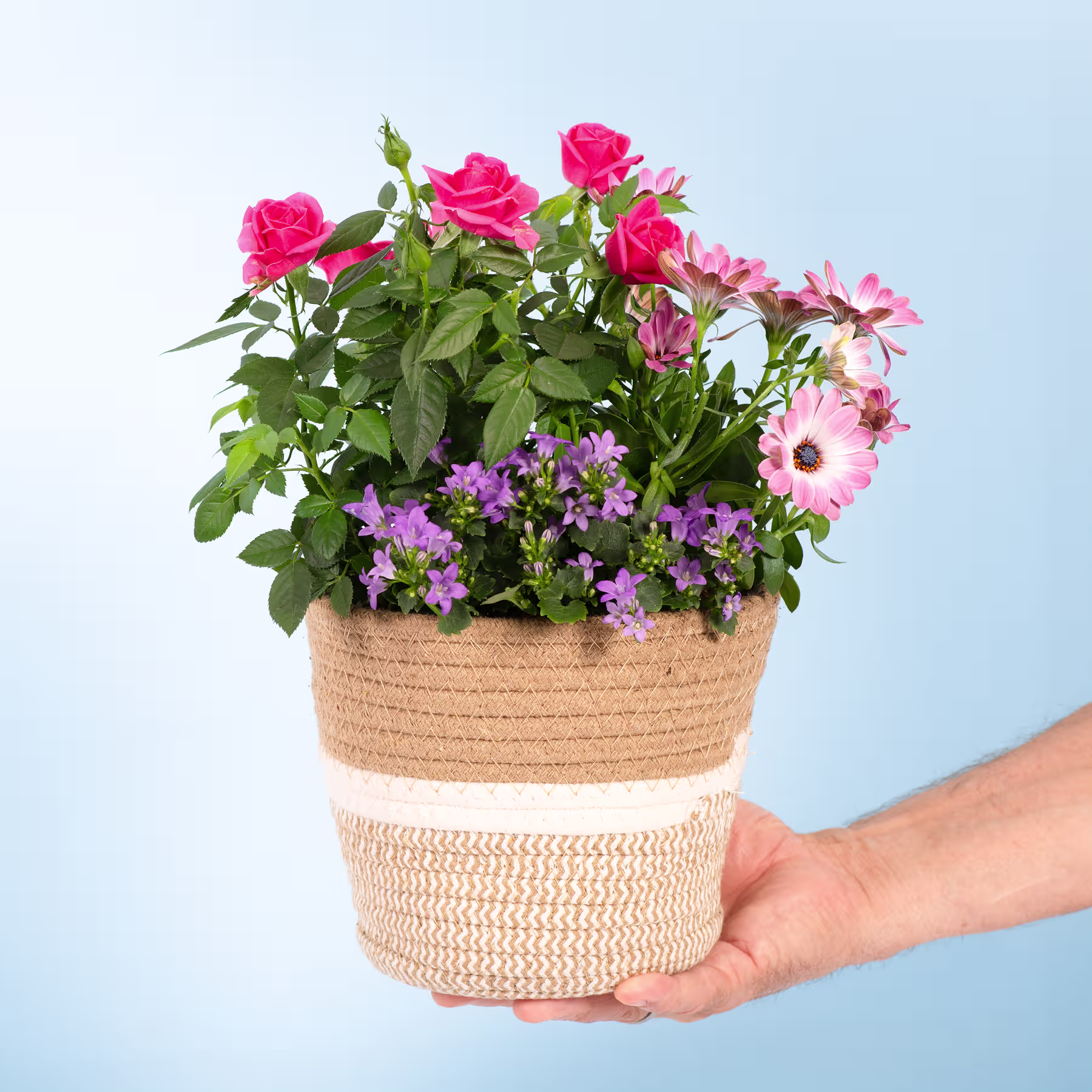 Eine Hand hält einen geflochtenen Korb, gefüllt mit einem farbenfrohen Arrangement aus rosa Rosen, violetten Blumen und grünem Laub vor einem hellblauen Hintergrund. (Beschreibungstext KI-generiert)