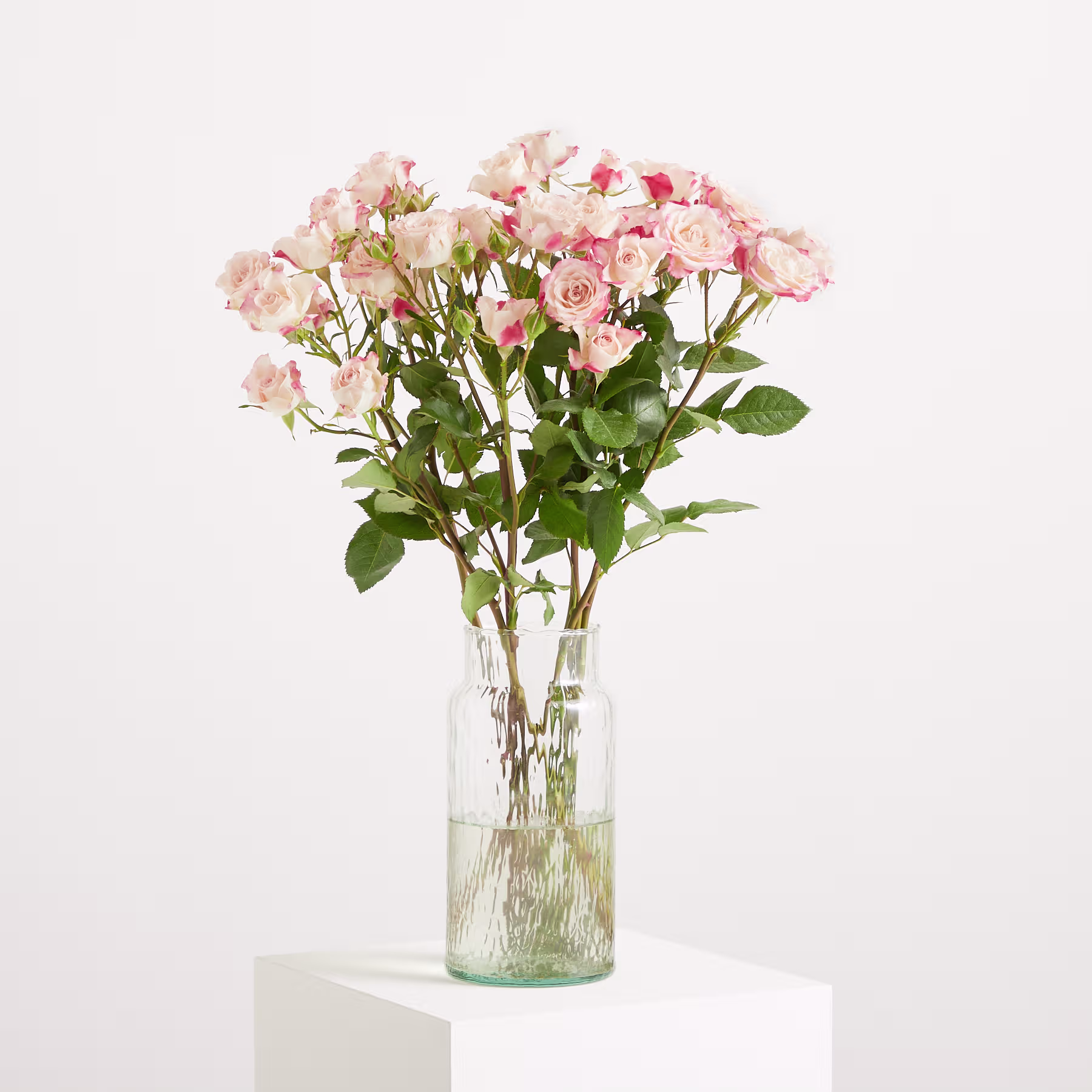 Ein Strauß zartrosa Rosen in einer Glasvase steht auf einer weißen Fläche vor einem schlichten weißen Hintergrund. (Beschreibungstext KI-generiert)