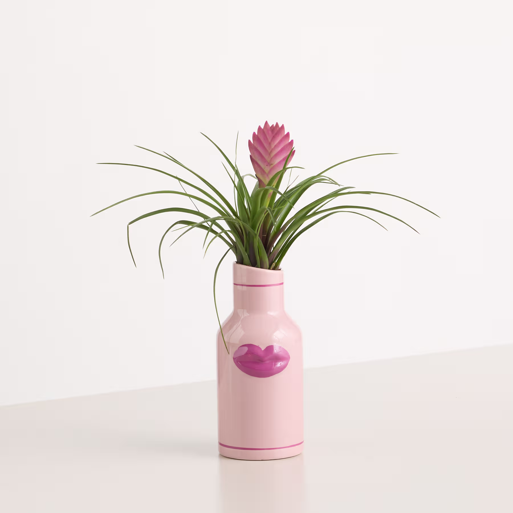 Eine rosafarbene Keramikvase mit herzförmigem Design hält eine leuchtend rosa Bromelie vor einem schlichten weißen Hintergrund. (Beschreibungstext KI-generiert)