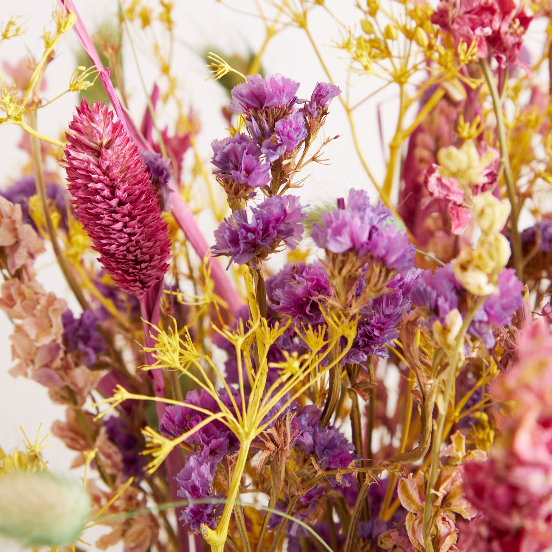 Ein lebendiger Strauß bunter Trockenblumen, darunter rosa und violette Blüten, füllt den Rahmen vor einem hellen Hintergrund. (Beschreibungstext KI-generiert)