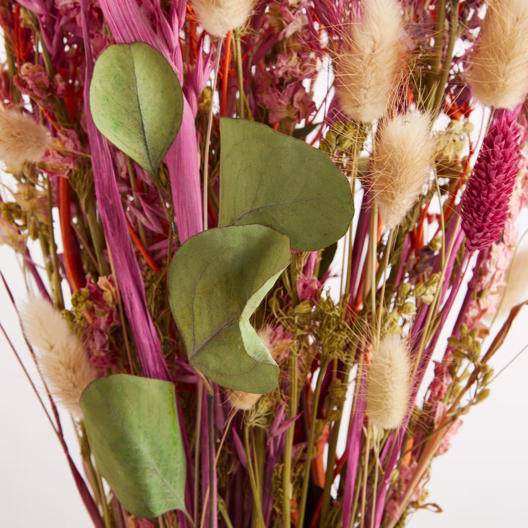 Ein lebendiger Strauß bunter Blumen und Blätter, darunter rosa und orange Blüten, federleichte Federbüsche und üppige grüne Blätter, vor einem schlichten weißen Hintergrund. (Beschreibungstext KI-generiert)