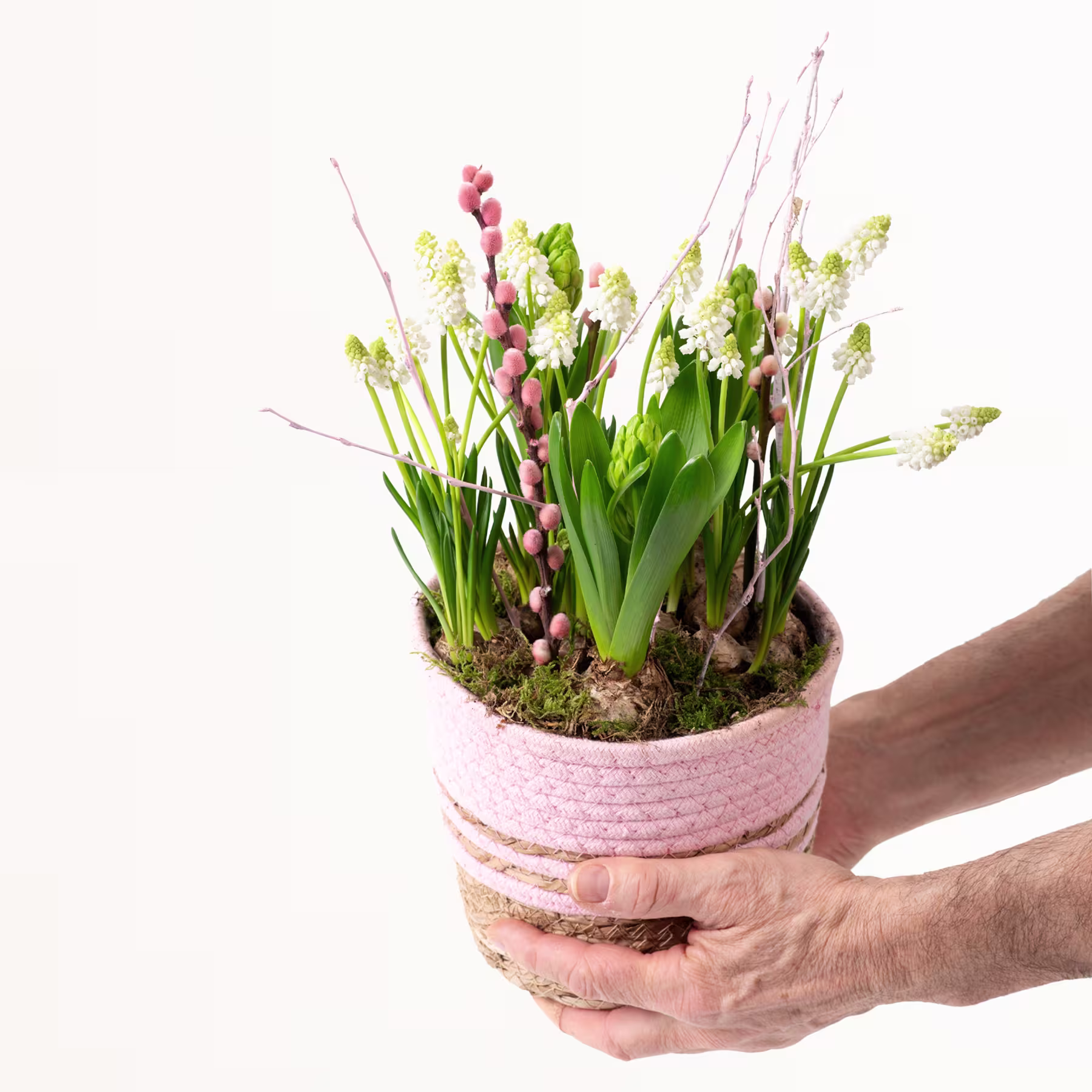 Ein farbenfroher Strauß Frühlingsblumen, darunter weiße und rosa Blüten, eingebettet in einen rosa geflochtenen Korb, den eine Person vor einem schlichten weißen Hintergrund in den Händen hält. (Beschreibungstext KI-generiert)