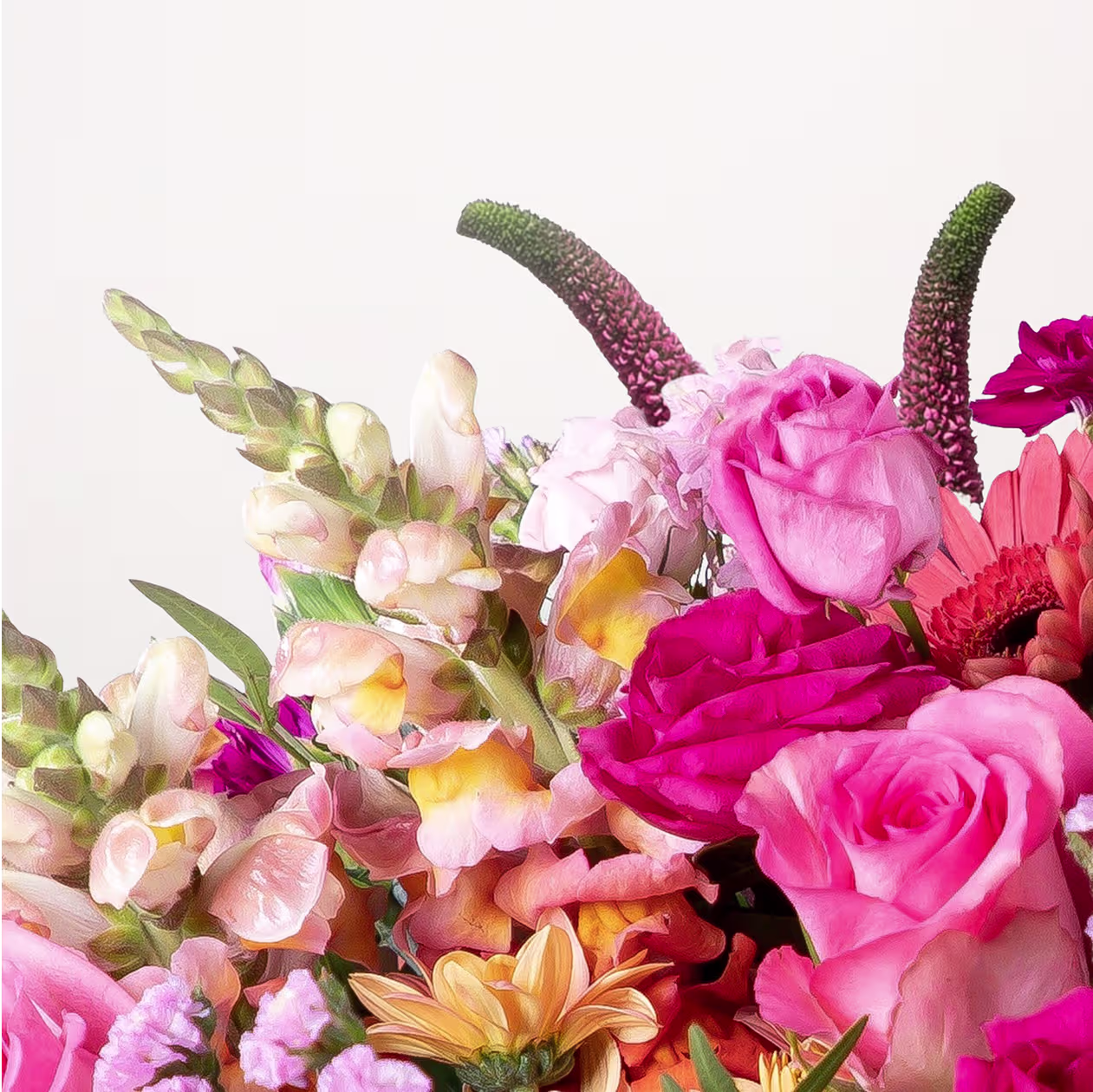 Ein lebendiger Strauß bunter Blumen, darunter rosa Rosen, gelbe Gänseblümchen und violettes und grünes Laub, vor einem schlichten weißen Hintergrund. (Beschreibungstext KI-generiert)