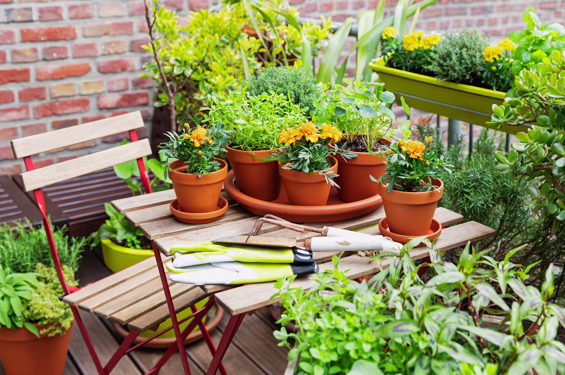 Ein gemütlicher Balkon oder eine Terrasse mit einer Vielzahl von Topfpflanzen, darunter leuchtende Blumen und üppiges Grün, umgeben von einer Backsteinmauer im Hintergrund. (Beschreibungstext KI-generiert)