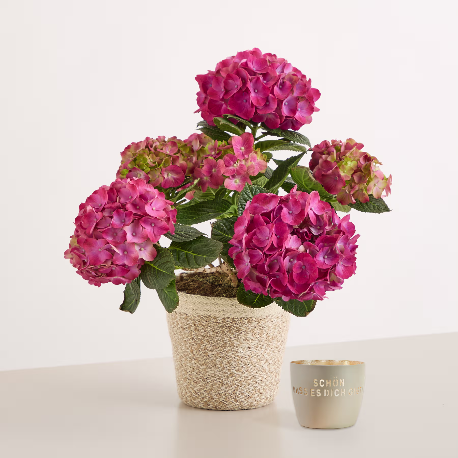Ein farbenfroher Strauß rosa und gelber Hortensienblüten steht in einem beigen Keramiktopf, im Vordergrund steht eine kleine graue Keramiktasse vor einem schlichten hellblauen Hintergrund. (Beschreibungstext KI-generiert)