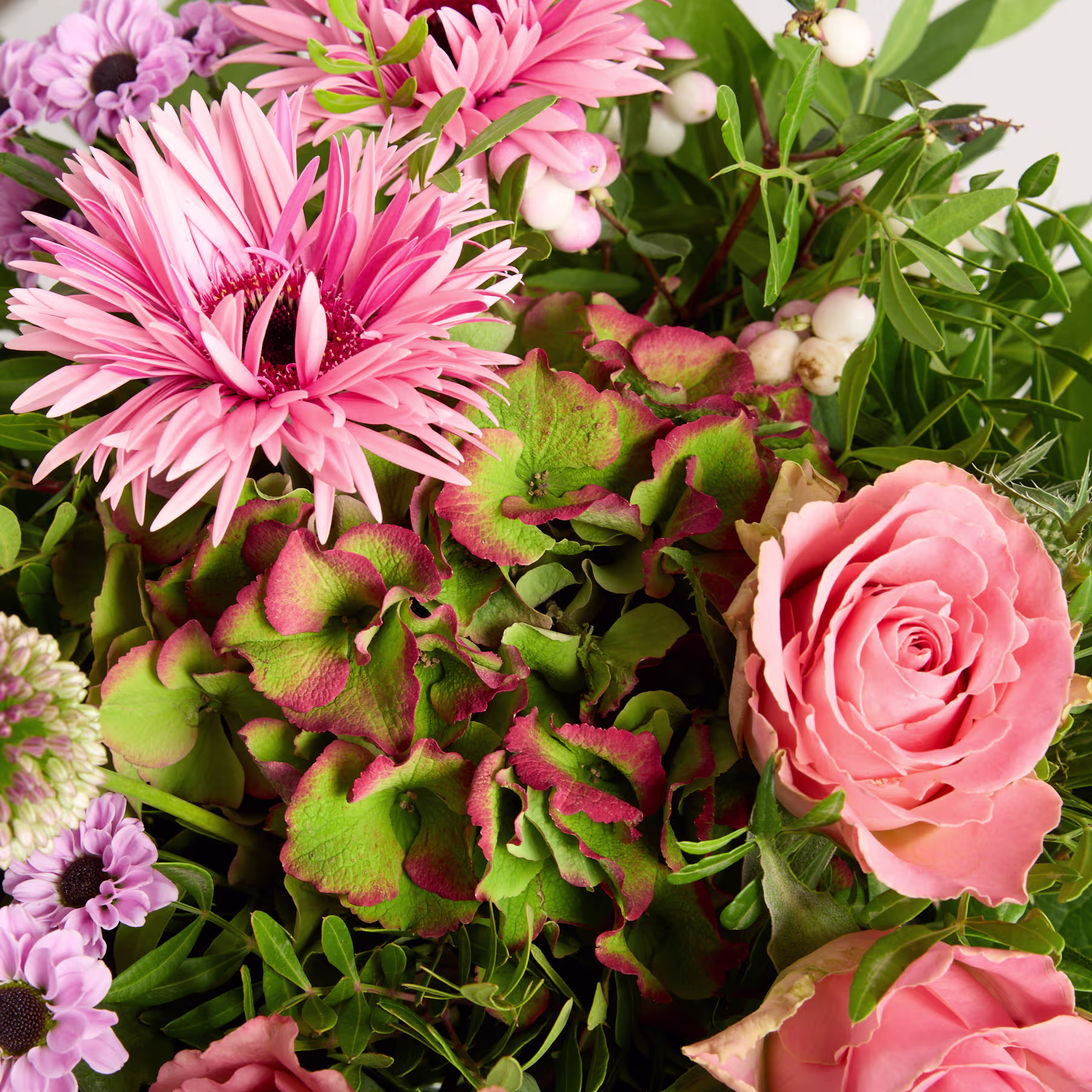 Ein lebendiger Strauß rosa und violetter Blumen, darunter Gerbera und Rosen, vor dem Hintergrund üppiger grüner Blätter. (Beschreibungstext KI-generiert)