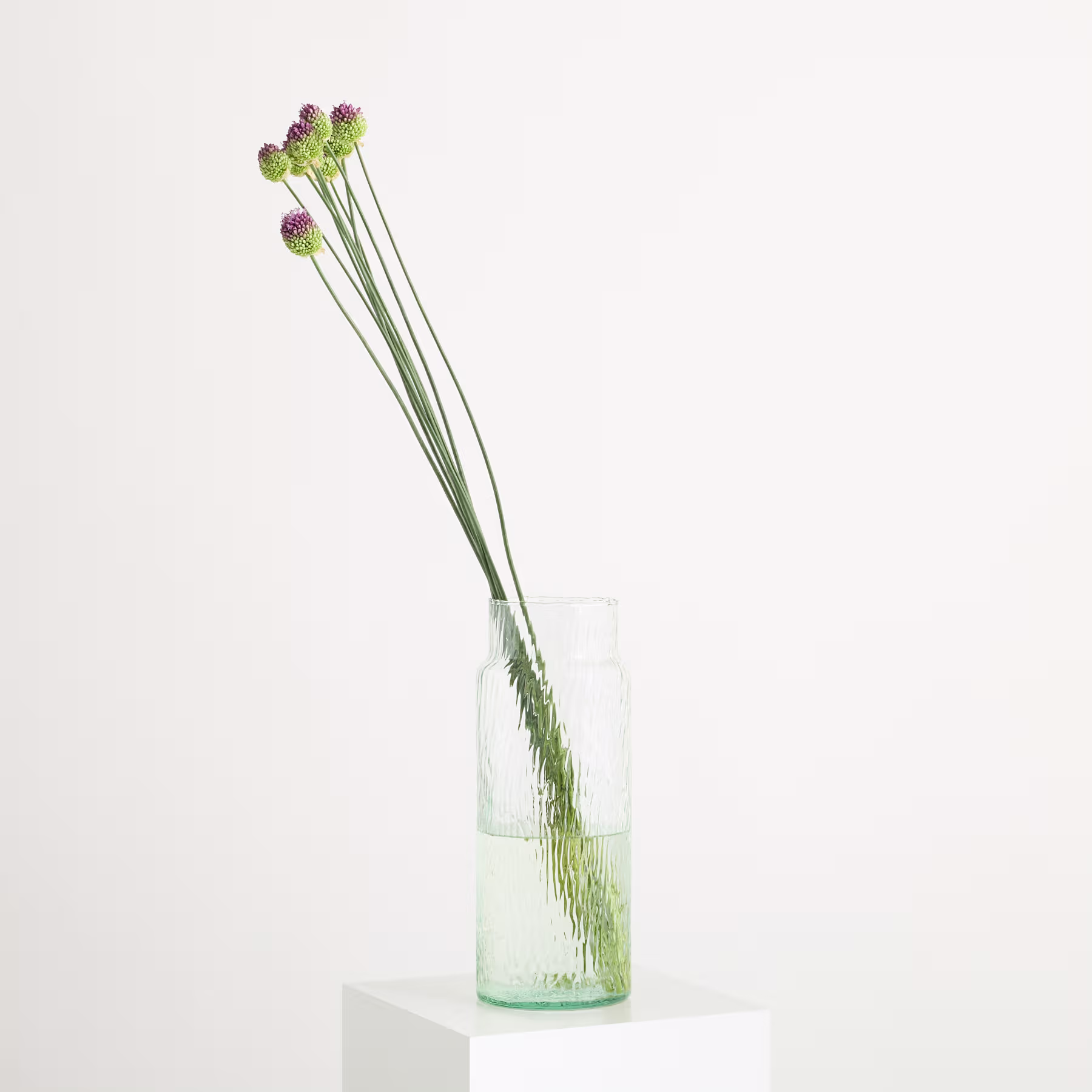 Eine Glasvase mit mehreren grünen Stängeln mit violetten Blütenknospen steht auf einem schlichten weißen Hintergrund. (Beschreibungstext KI-generiert)