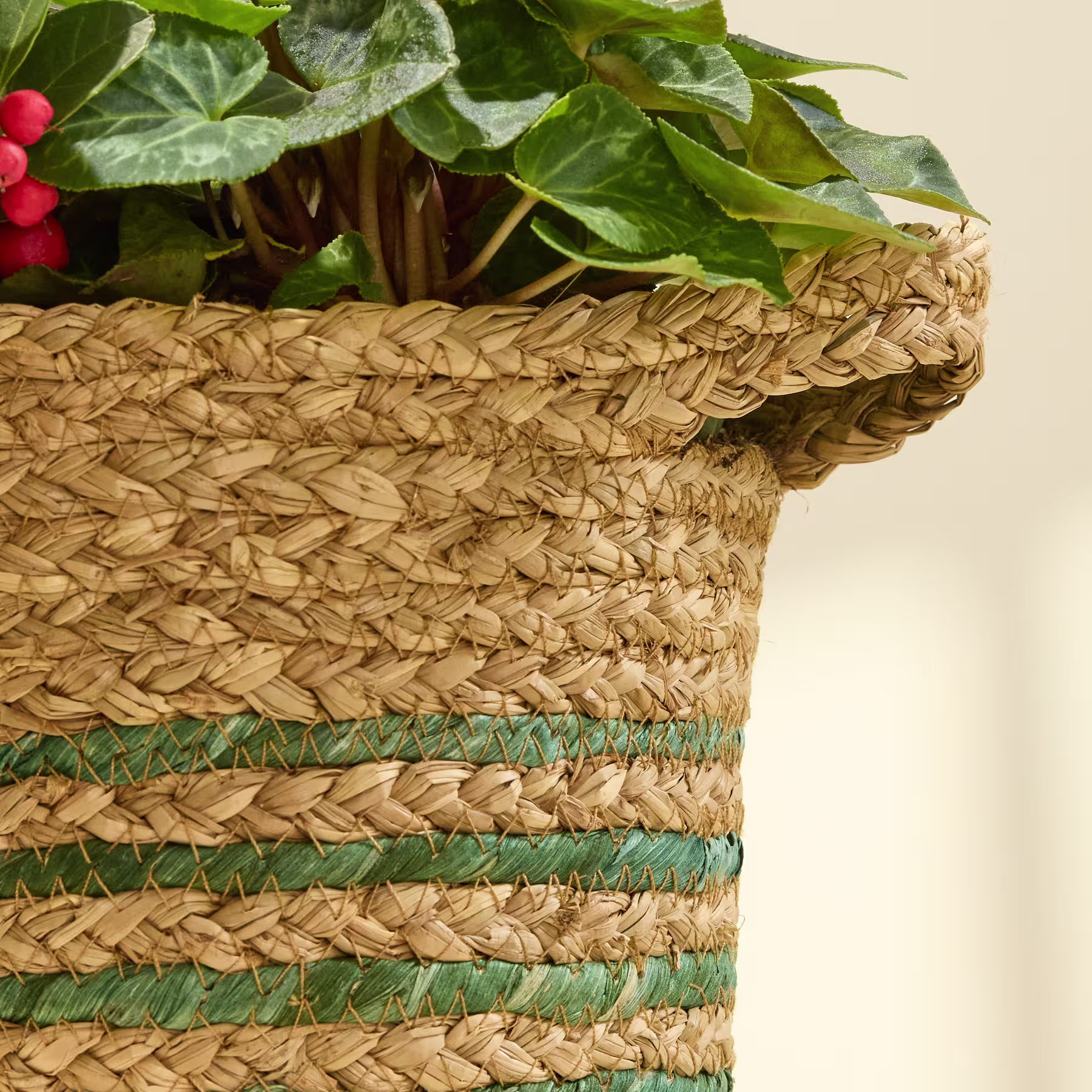 Ein festliches Arrangement in einem geflochtenen Korb mit einer Weihnachtsmannfigur, Kiefernzweigen, roten Blumen und Tannenzapfen vor schlichtem weißen Hintergrund. (Beschreibungstext KI-generiert)