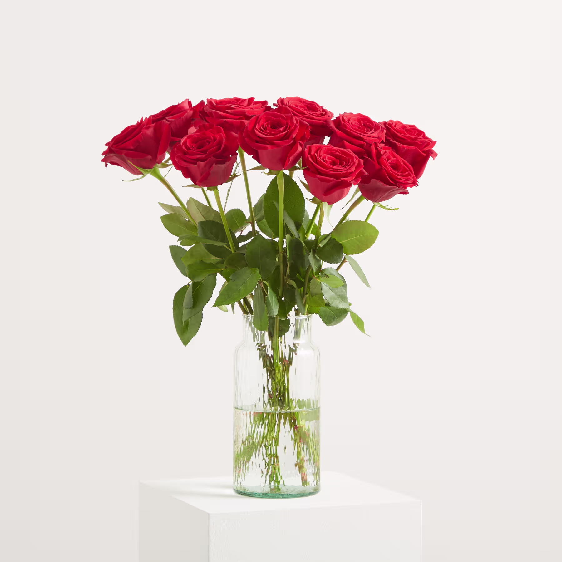 Ein Strauß leuchtend roter Rosen in einer Glasvase steht vor einem schlichten weißen Hintergrund. (Beschreibungstext KI-generiert)