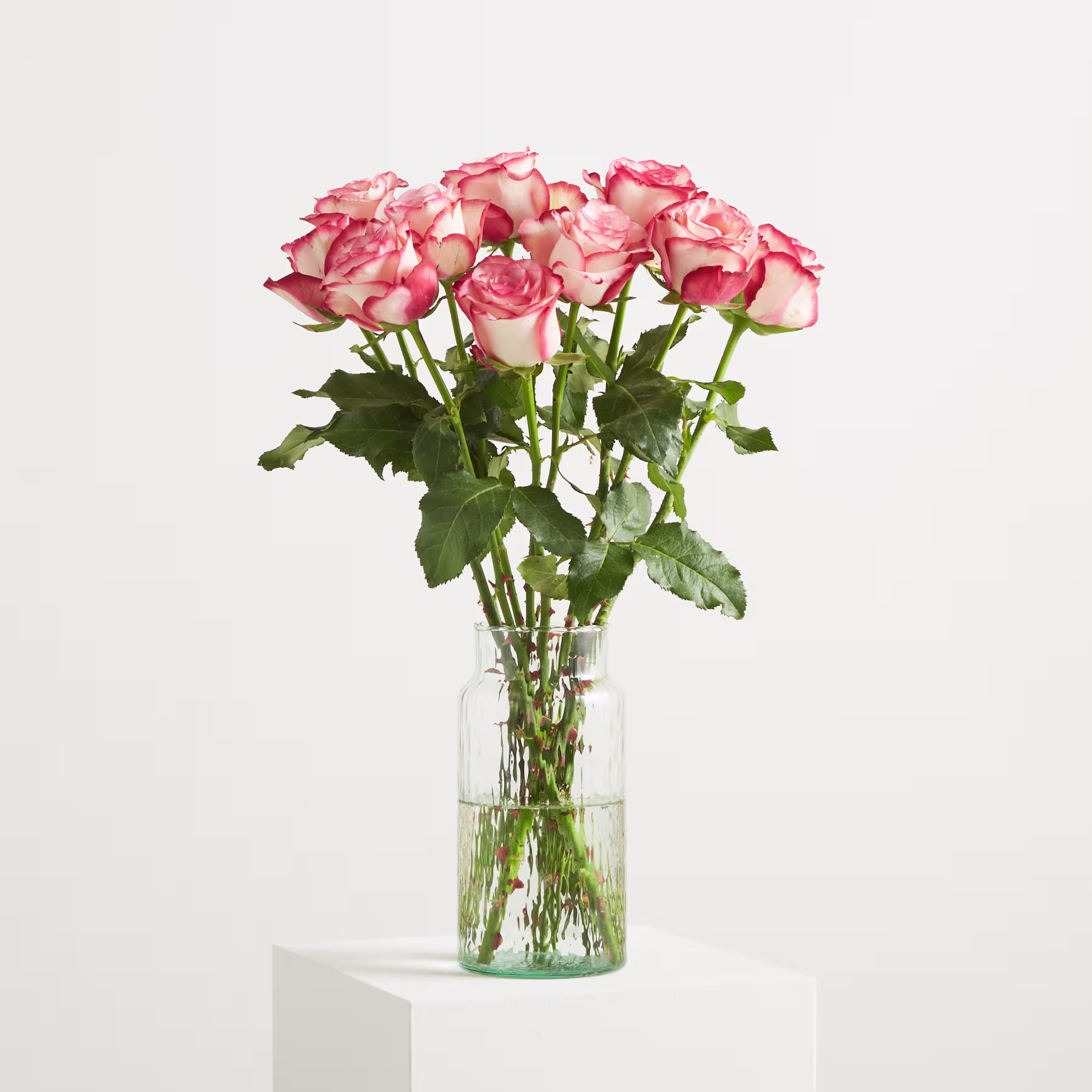 Das Bild zeigt eine Nahaufnahme mehrerer leuchtend rosa Rosen mit zarten Blütenblättern und üppigem grünem Laub im Hintergrund. (Beschreibungstext KI-generiert)