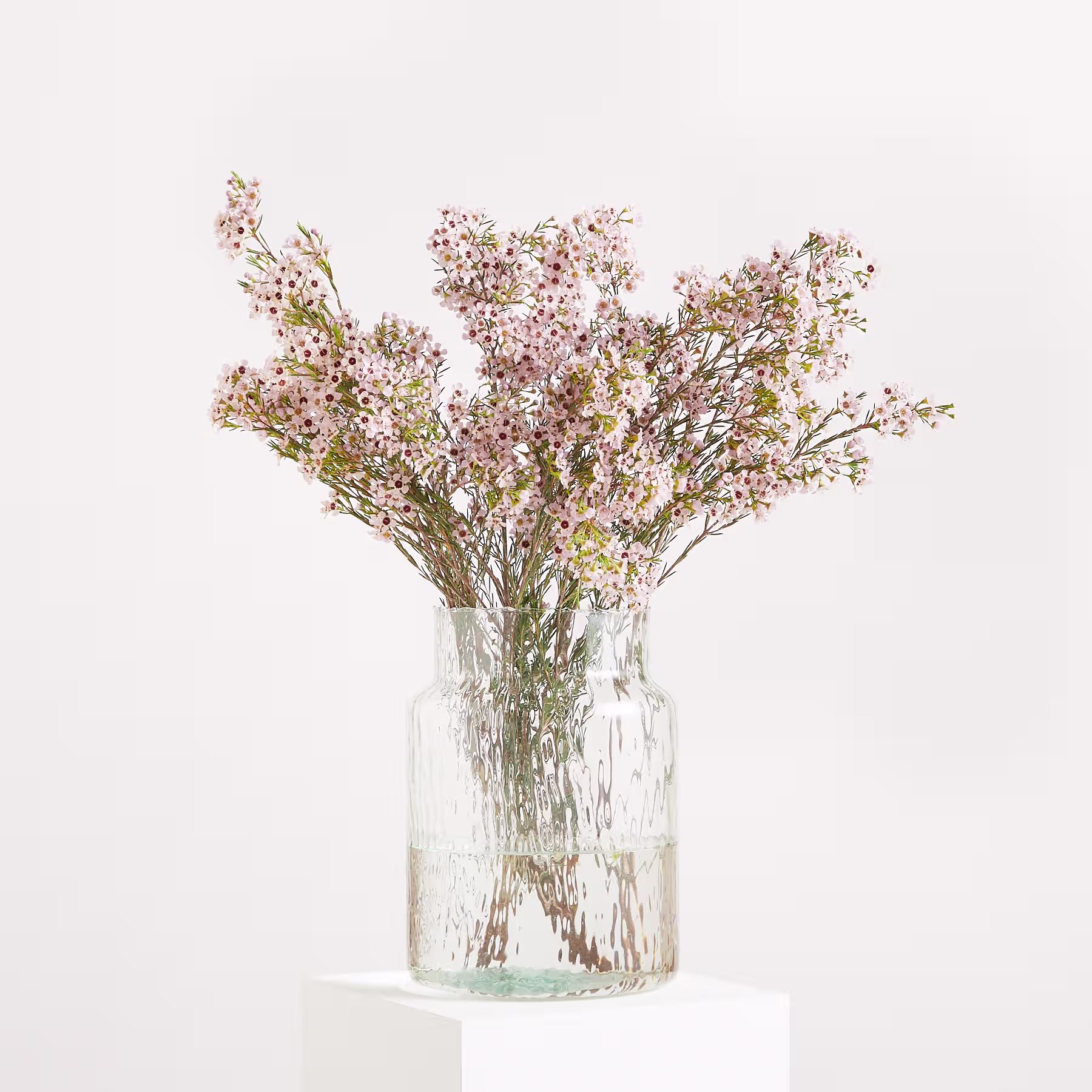 Ein Strauß zarter rosa und weißer Blüten in einer Glasvase hebt sich von einem schlichten weißen Hintergrund ab. (Beschreibungstext KI-generiert)