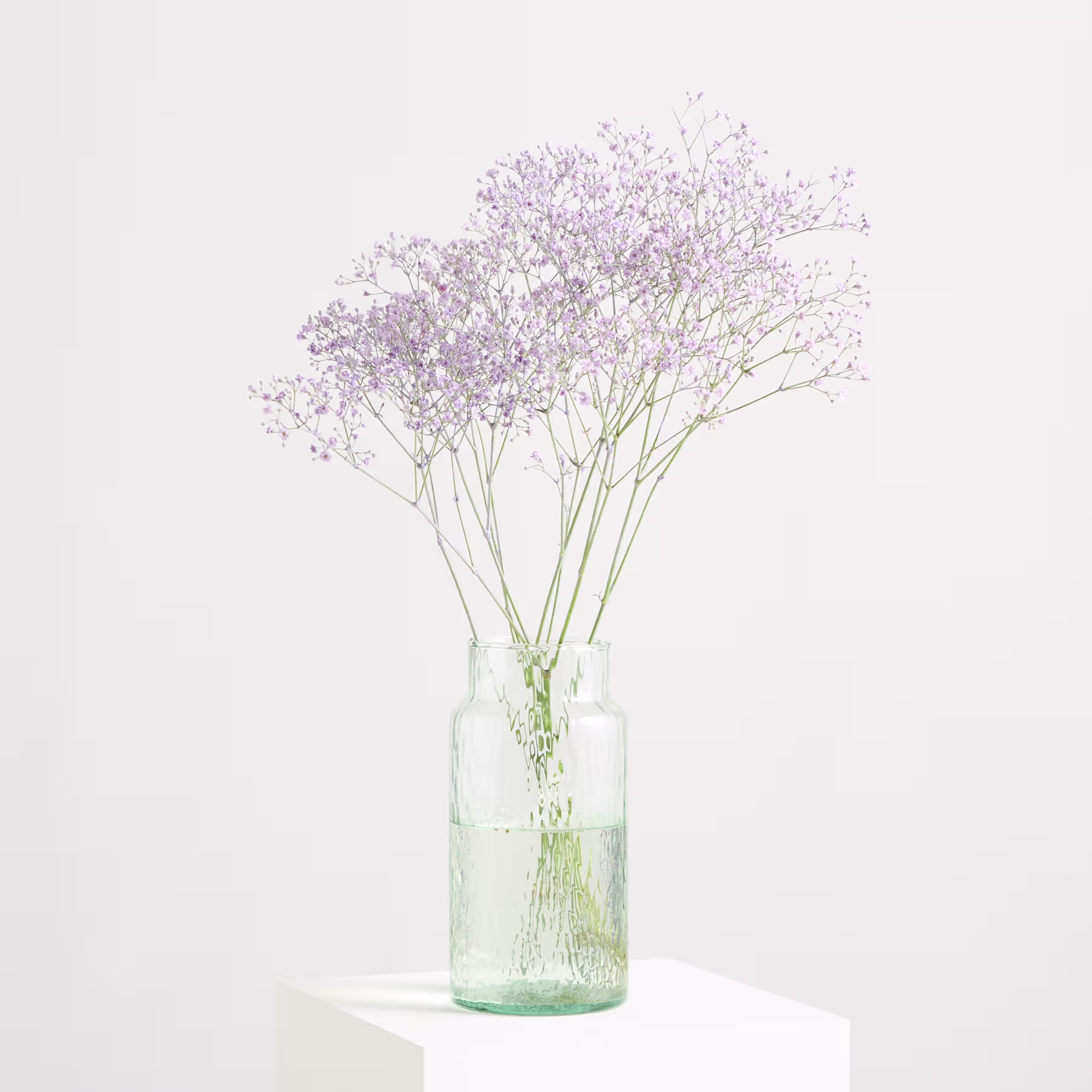 Ein zarter Strauß kleiner, blassvioletter Blüten vor einem schlichten weißen Hintergrund. (Beschreibungstext KI-generiert)