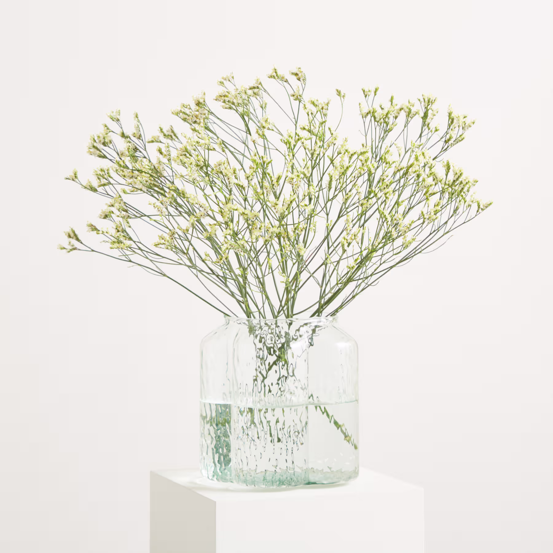 Zarte gelbe Blüten mit schlanken Stielen und Blättern vor einem schlichten weißen Hintergrund ergeben eine ruhige und minimalistische Komposition. (Beschreibungstext KI-generiert)