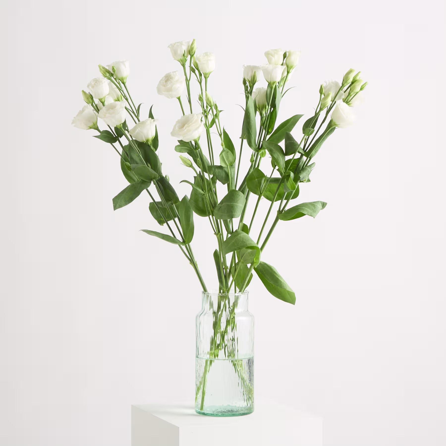 Ein Strauß wunderschöner, zarter weißer Rosen mit grünen Blättern vor einem schlichten, hellen Hintergrund. (Beschreibungstext KI-generiert)