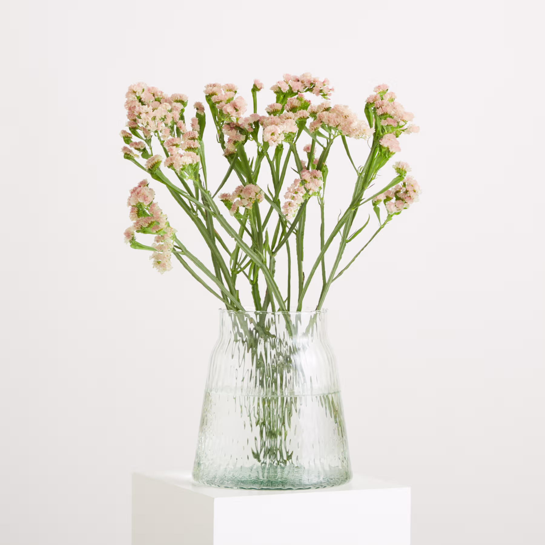 Ein Bouquet aus zarten, hellrosa Blüten mit grünen Blättern füllt das Bild vor einem schlichten weißen Hintergrund. (Beschreibungstext KI-generiert)