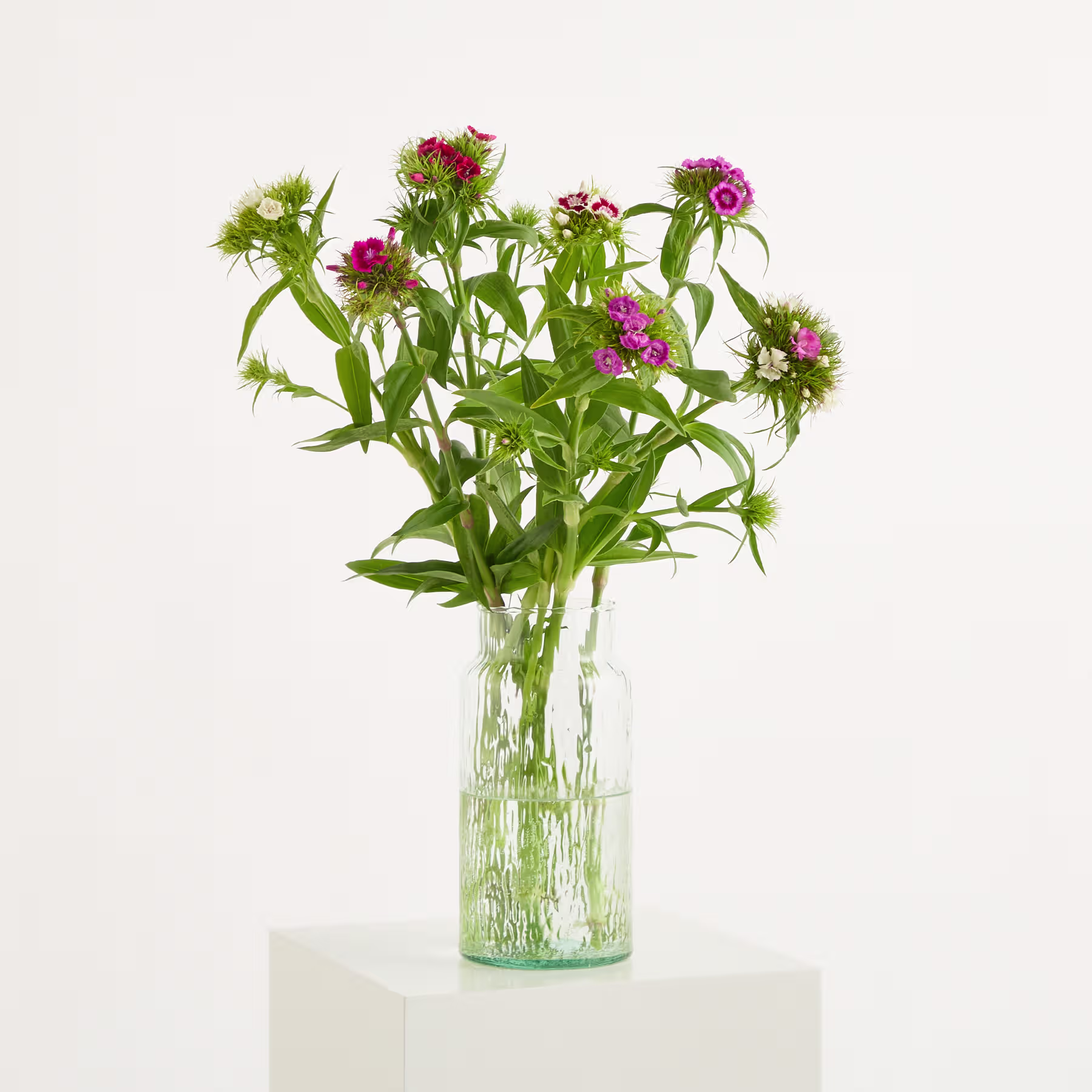 Ein Strauß leuchtend pinkfarbener und grüner Wildblumen, arrangiert in einer durchsichtigen Glasvase vor einem schlichten weißen Hintergrund. (Beschreibungstext KI-generiert)