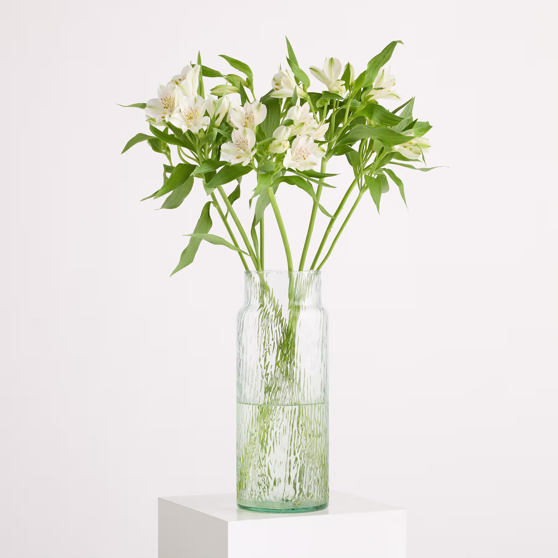 Ein Strauß wunderschöner weißer Alstroemeria-Blüten mit grünen Blättern vor schlichtem weißen Hintergrund. (Beschreibungstext KI-generiert)