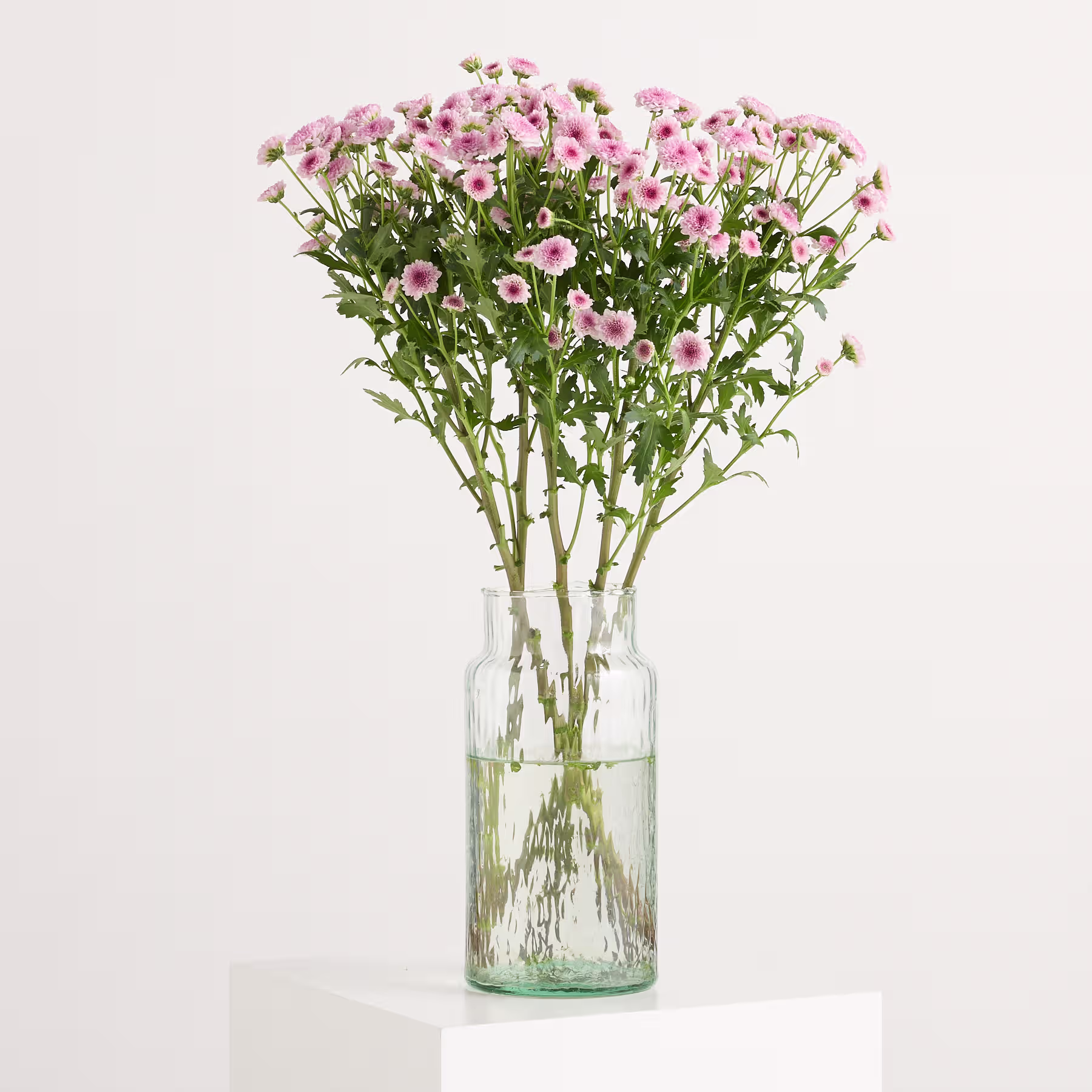 Ein Strauß zarter rosa Blüten in einer Glasvase steht auf einem schlichten weißen Hintergrund. (Beschreibungstext KI-generiert)