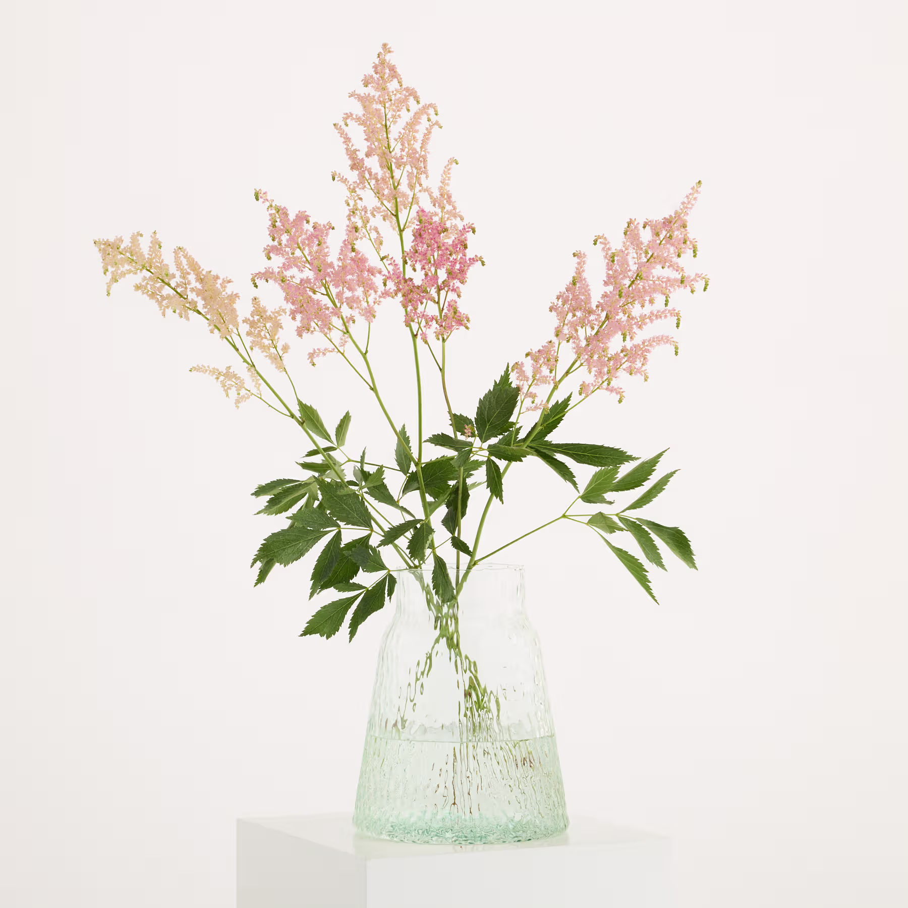 Ein Strauß zarter rosa und weißer Blüten in einer Glasvase steht vor einem schlichten weißen Hintergrund. (Beschreibungstext KI-generiert)
