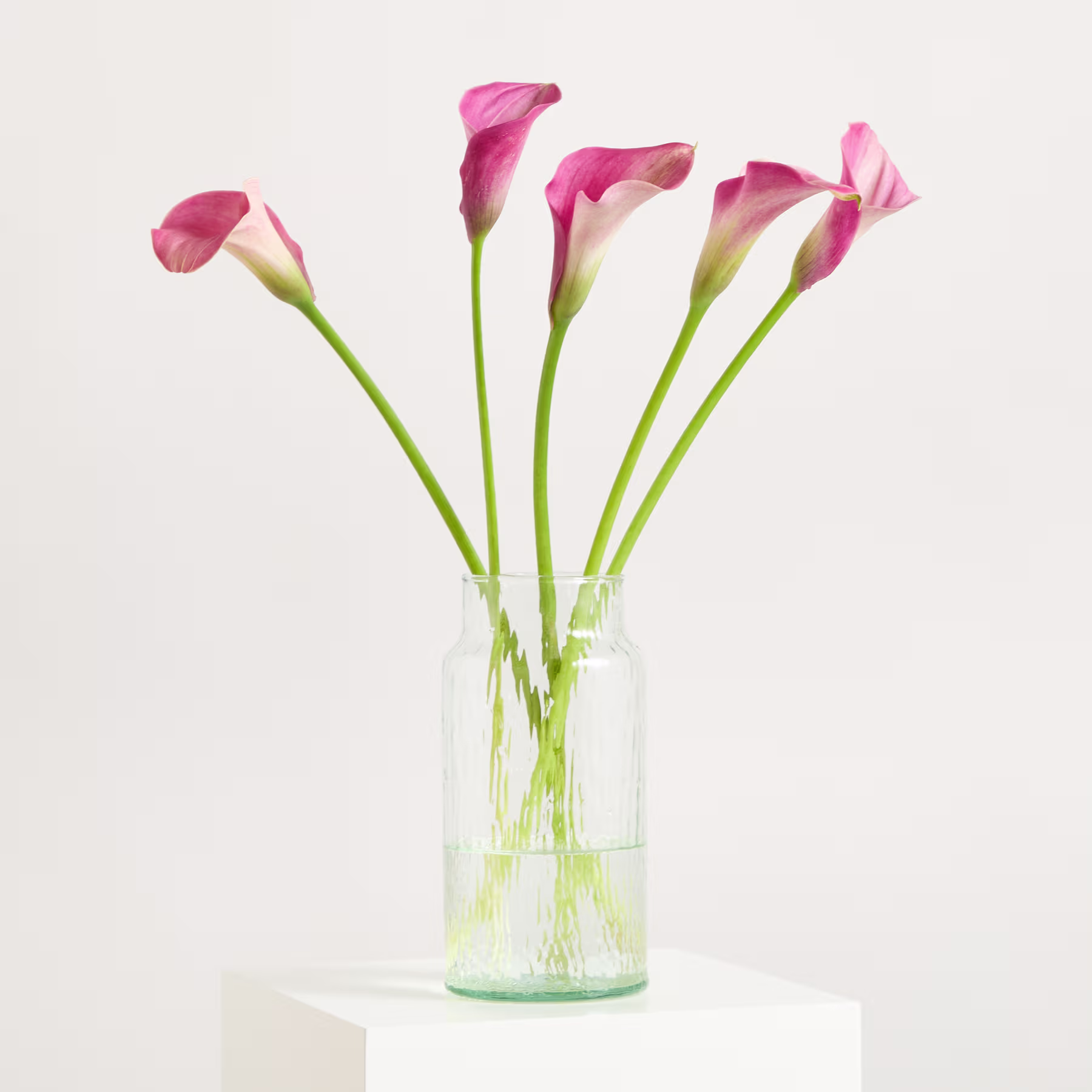 Ein Strauß leuchtend pinkfarbener Calla-Lilien steht in einer durchsichtigen Glasvase vor einem schlichten weißen Hintergrund. (Beschreibungstext KI-generiert)