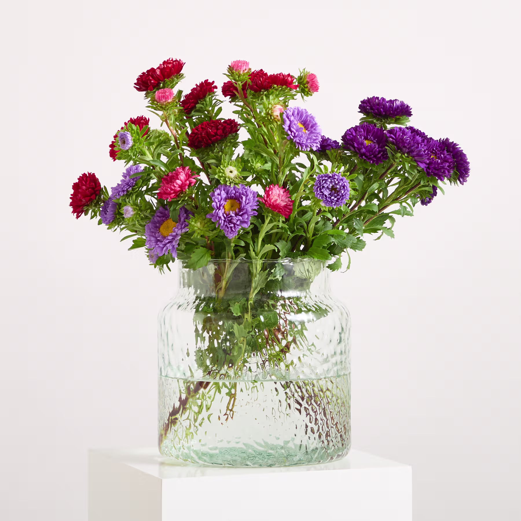 Ein leuchtender Strauß roter und violetter Chrysanthemen in einer Glasvase vor schlichtem weißen Hintergrund. (Beschreibungstext KI-generiert)