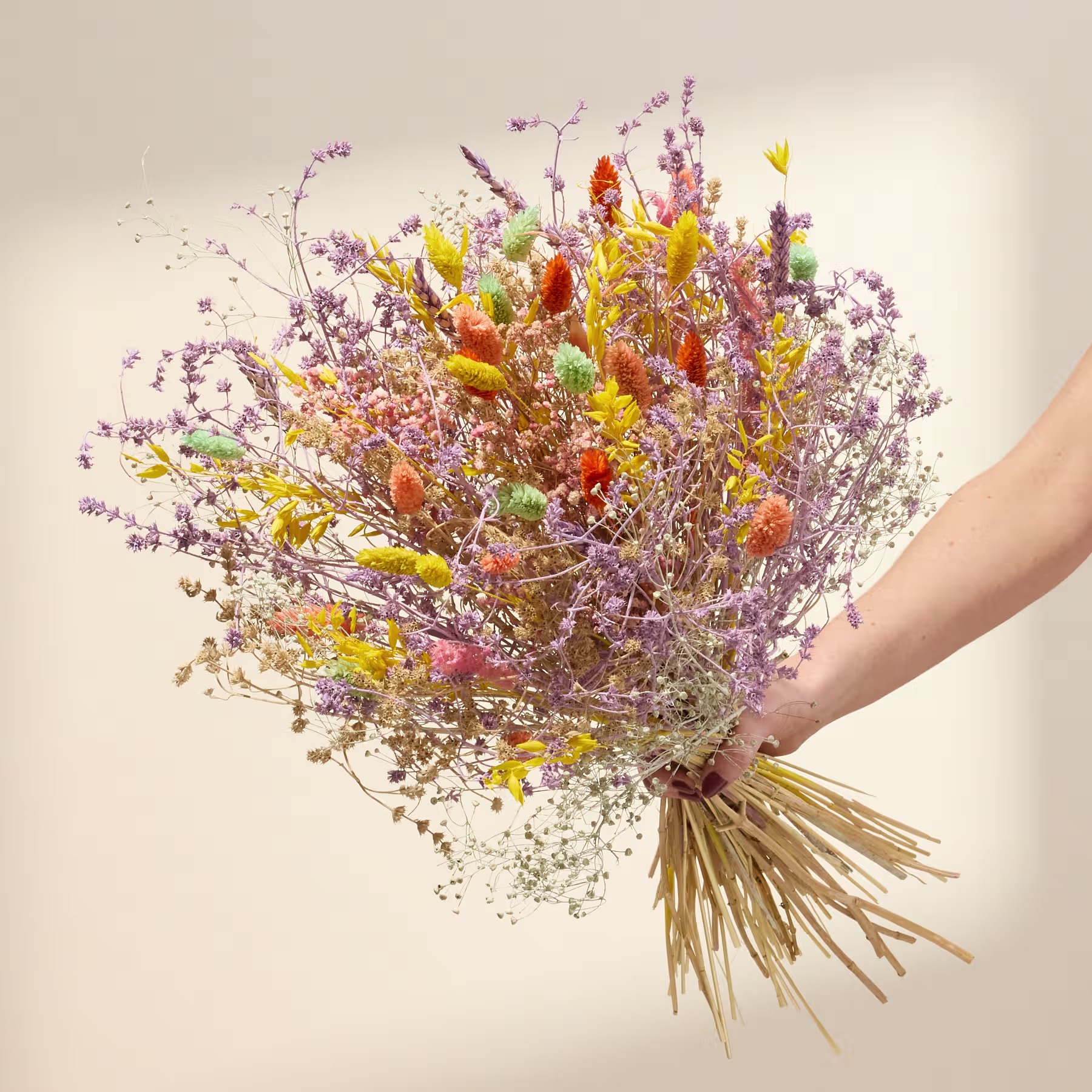 Ein lebendiger Strauß bunter Wildblumen und getrockneter Gräser, in einer Hand gehalten, vor einem neutralen Hintergrund. (Beschreibungstext KI-generiert)