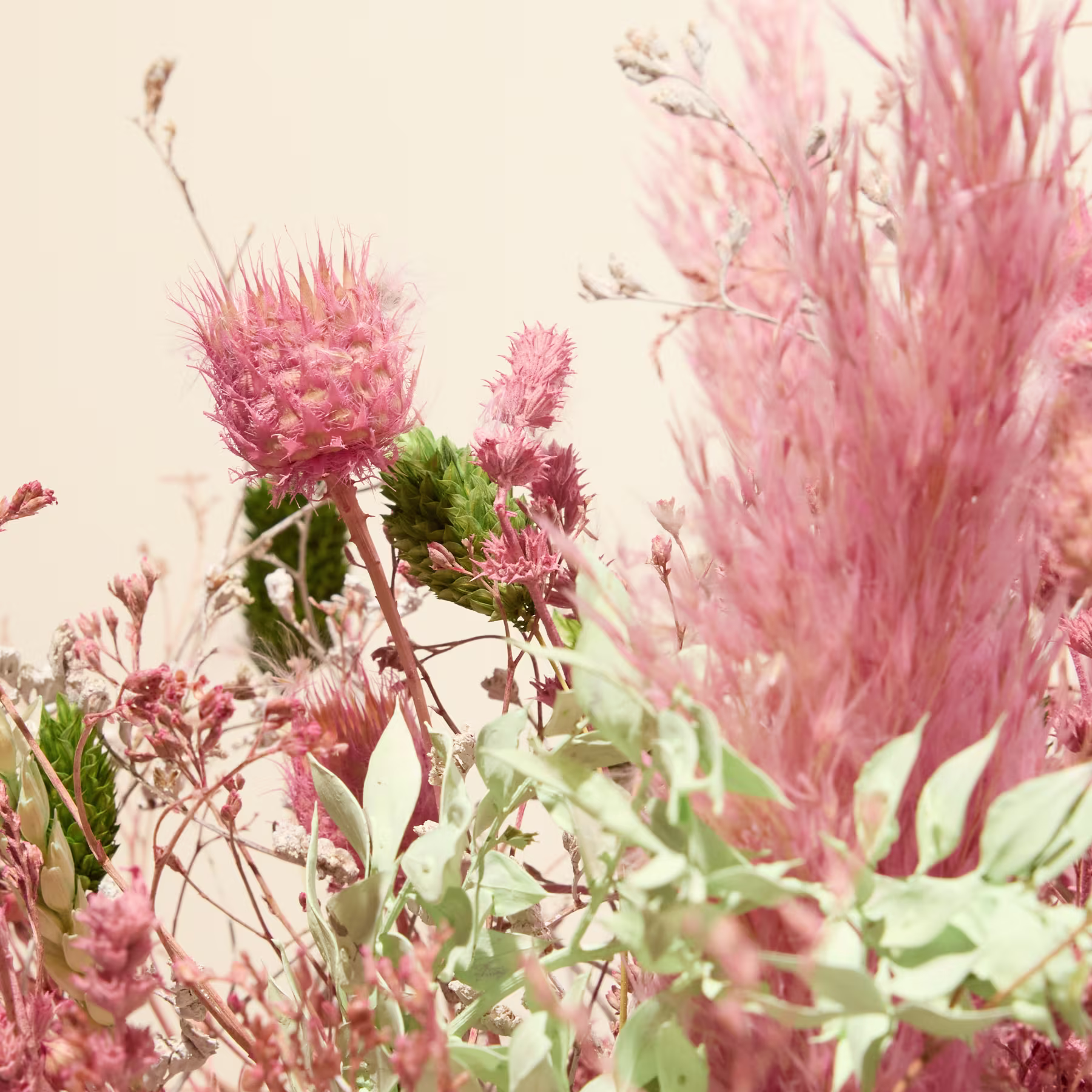Leuchtend pinkfarbene Blüten mit üppigem grünem Laub vor einem weichen, verschwommenen Hintergrund. (Beschreibungstext KI-generiert)