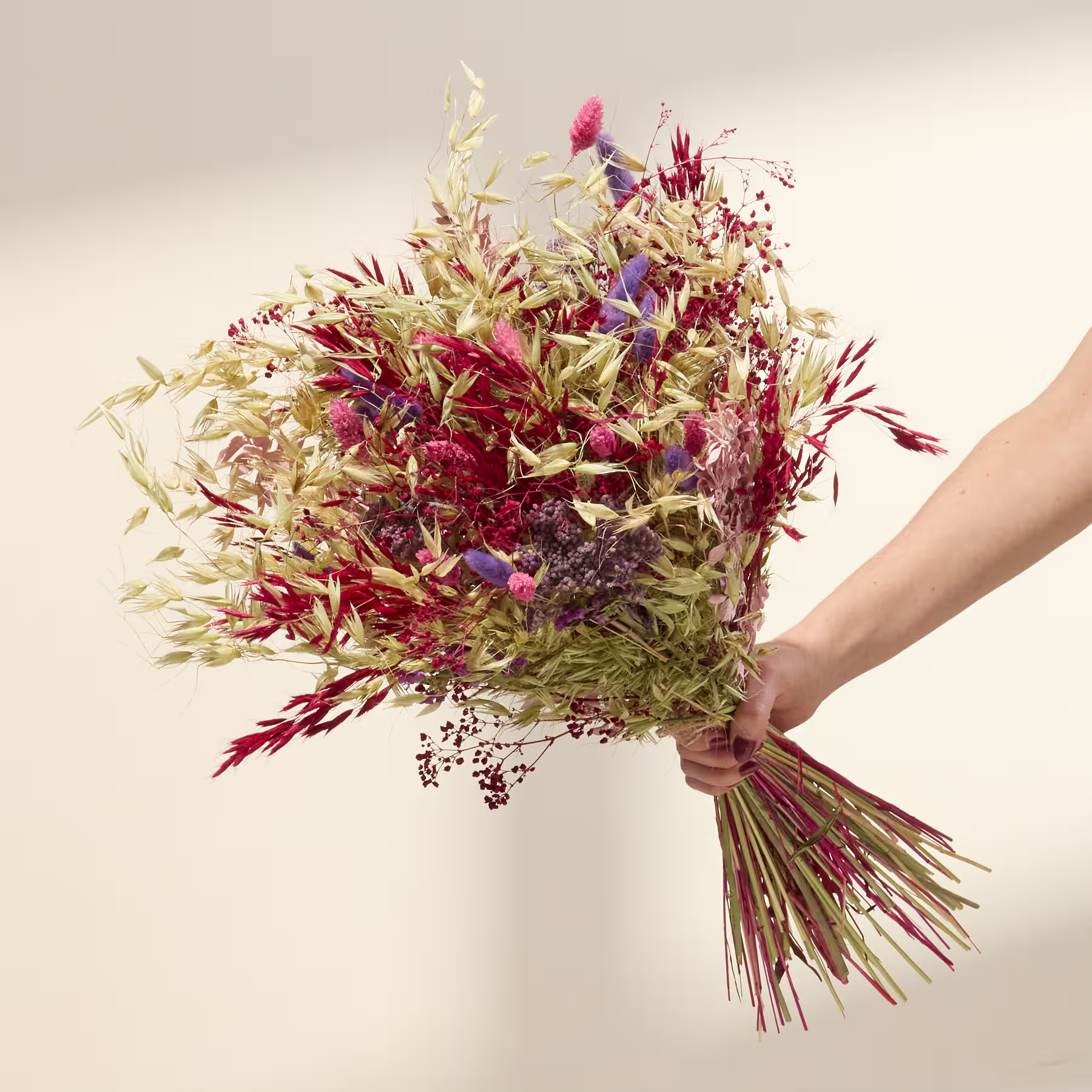 Ein farbenfroher Strauß getrockneter Blumen in Rot-, Lila- und Grüntönen wird von einer Person vor einem schlichten, hellen Hintergrund in den Händen gehalten. (Beschreibungstext KI-generiert)