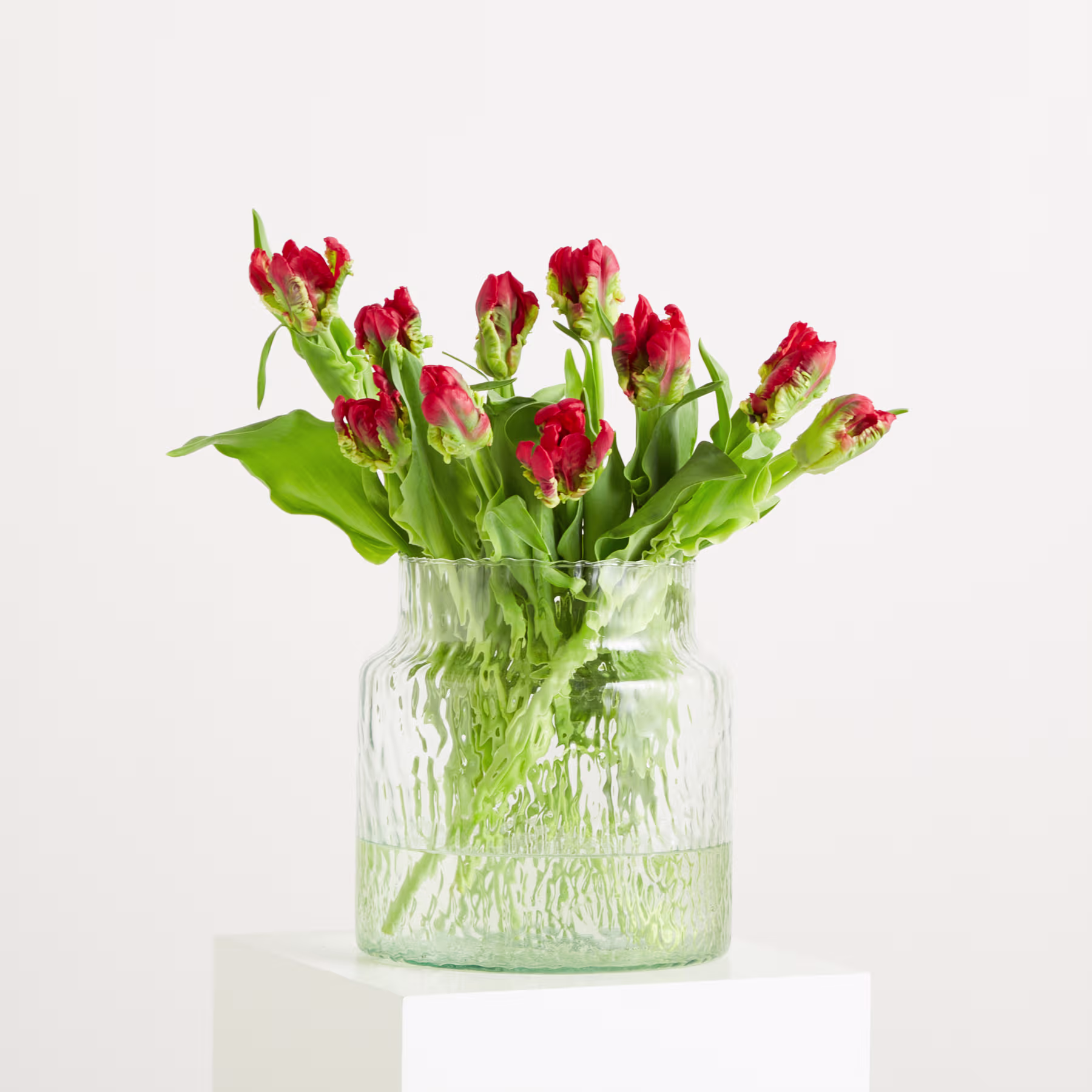 Ein Strauß leuchtend roter Tulpen in einer Glasvase steht auf einem schlichten weißen Hintergrund. (Beschreibungstext KI-generiert)