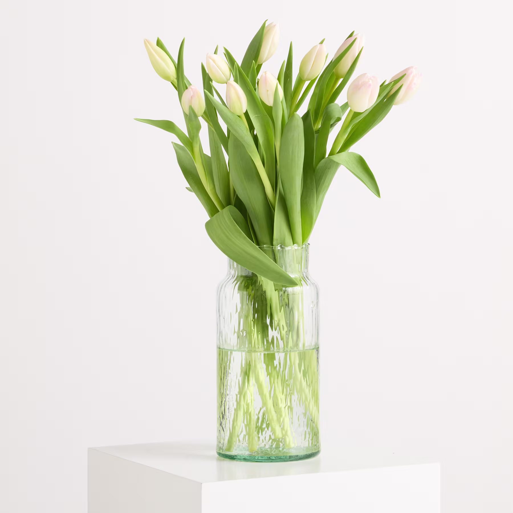 Ein Strauß weißer Tulpen in einer Glasvase steht auf einer weißen Fläche vor einem schlichten Hintergrund. (Beschreibungstext KI-generiert)