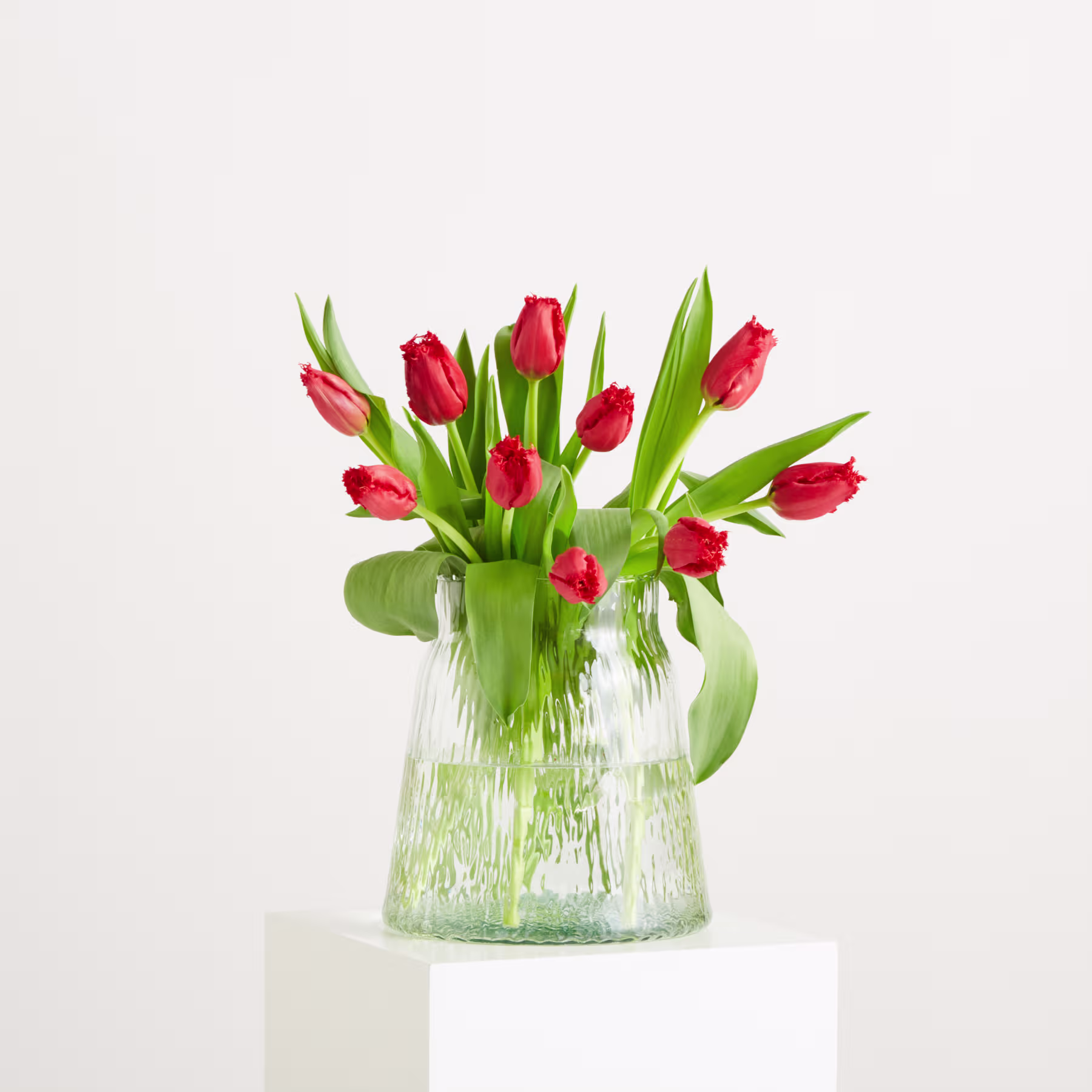 Ein Strauß leuchtend roter Tulpen in einer durchsichtigen Glasvase vor schlichtem weißen Hintergrund. (Beschreibungstext KI-generiert)