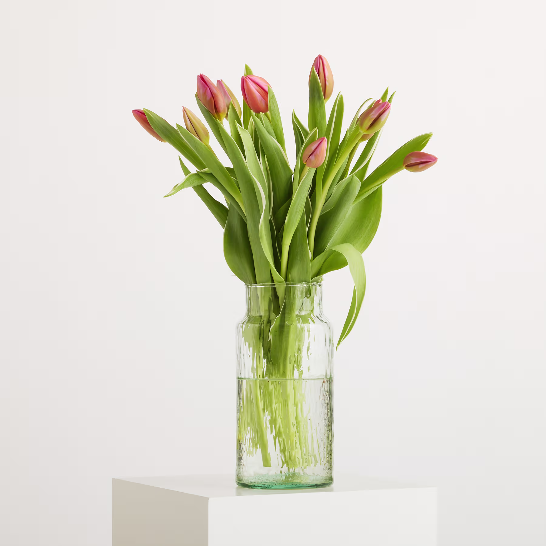Ein Strauß leuchtend pinkfarbener Tulpen in einer Glasvase steht vor einem schlichten weißen Hintergrund. (Beschreibungstext KI-generiert)
