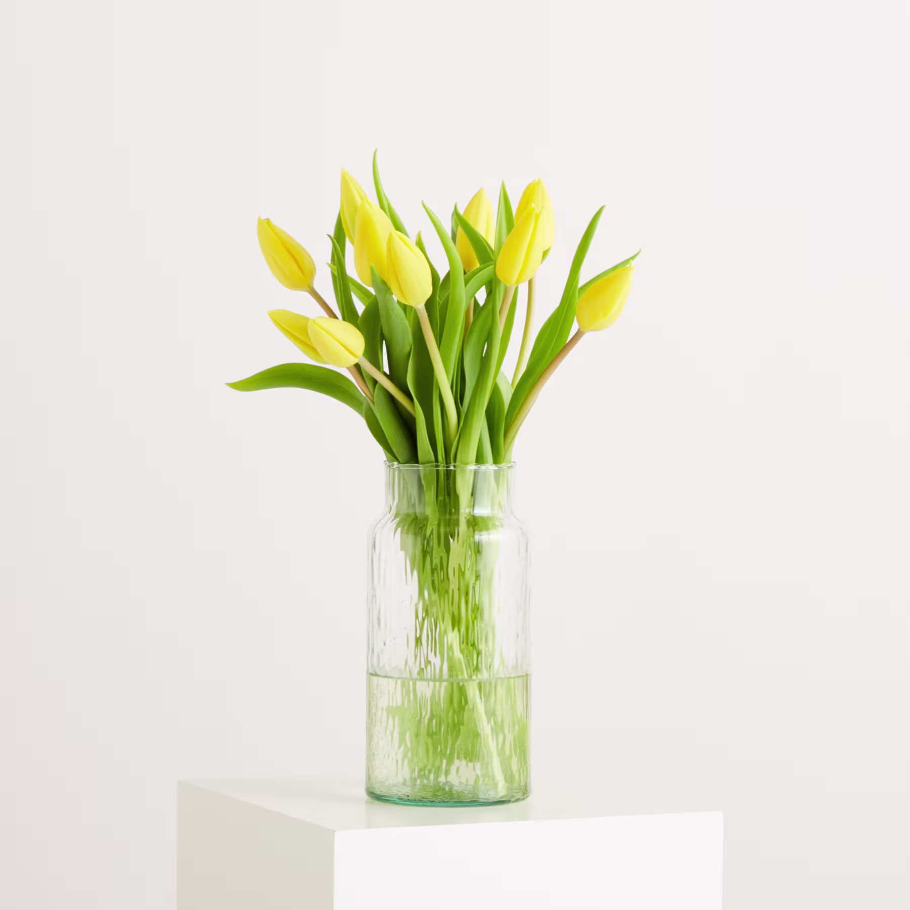 Ein Strauß leuchtend gelber Tulpen steht in einer durchsichtigen Glasvase vor einem schlichten weißen Hintergrund. (Beschreibungstext KI-generiert)