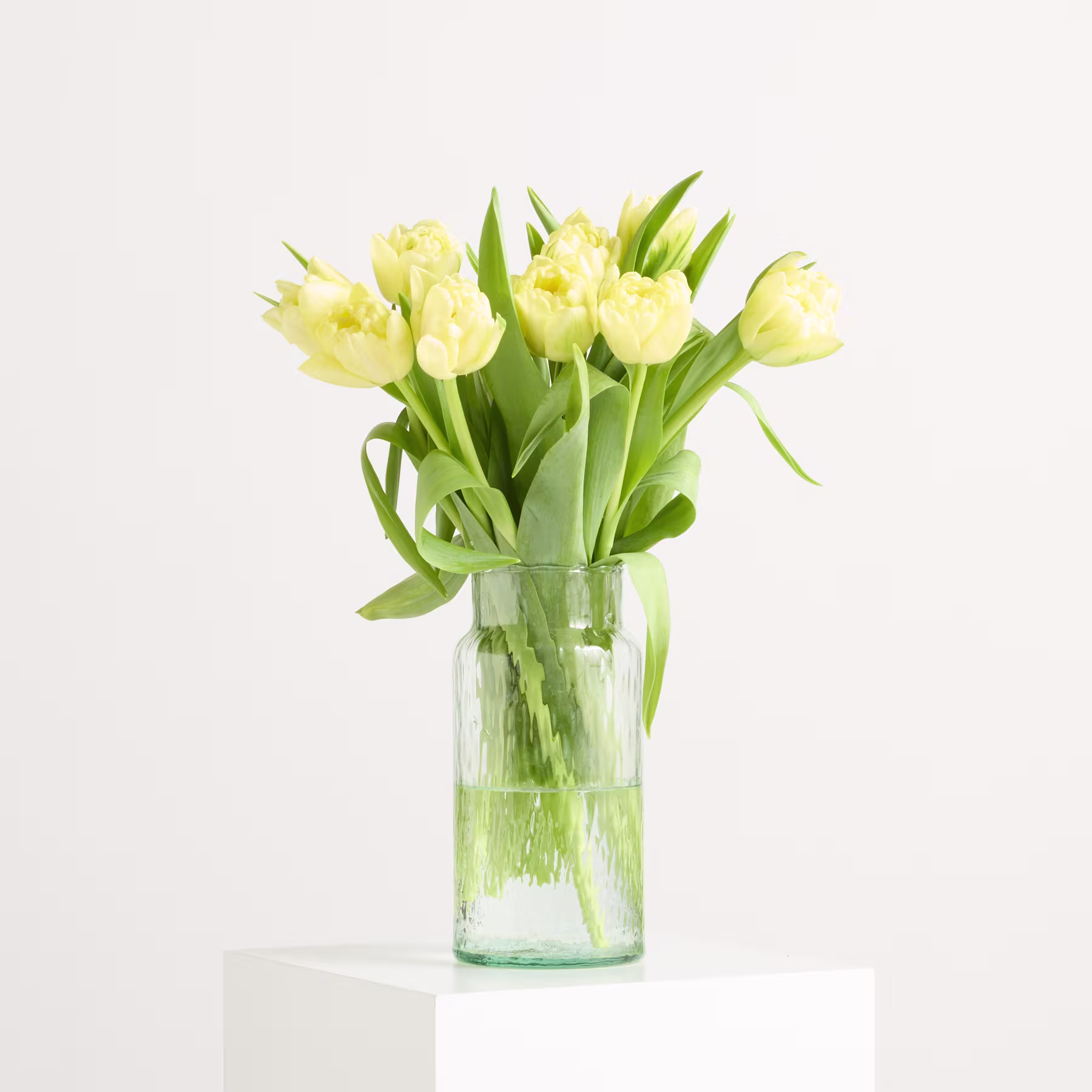 Ein Strauß leuchtend gelber Tulpen in einer durchsichtigen Glasvase steht auf einer weißen Fläche vor einem schlichten weißen Hintergrund. (Beschreibungstext KI-generiert)